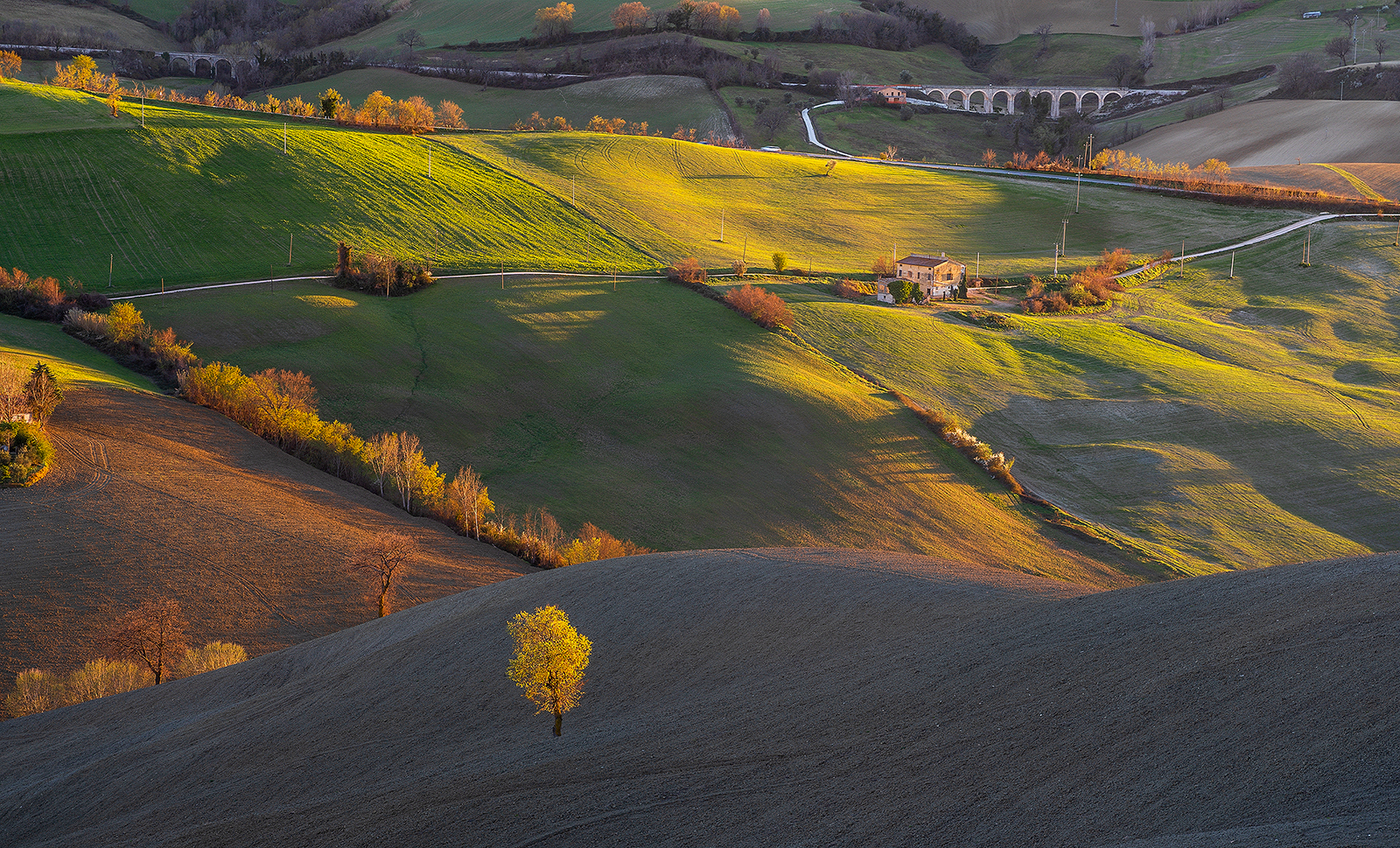 paesaggi marchigiani