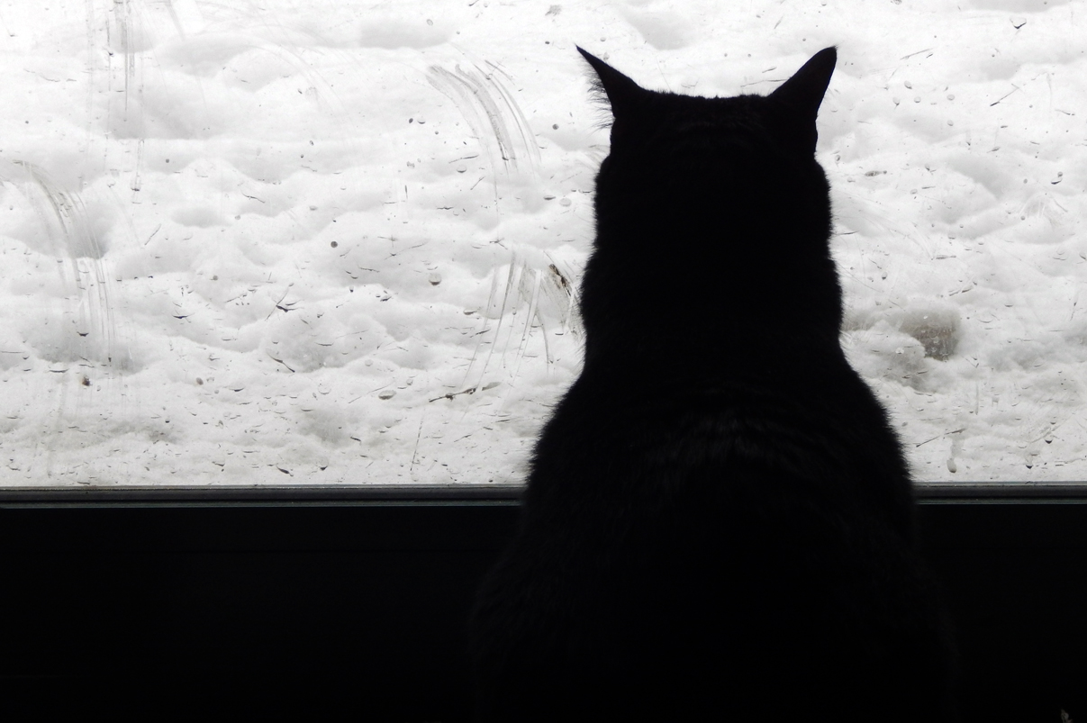 Sophie scopre la neve