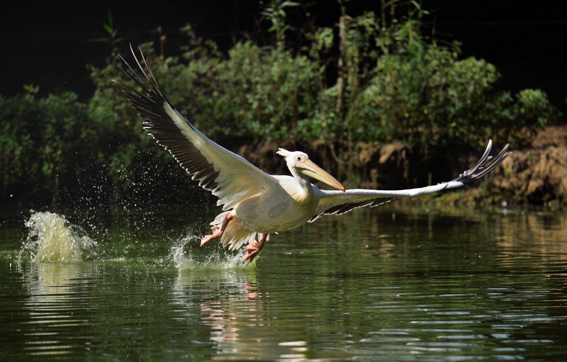 Decollo difficoltoso