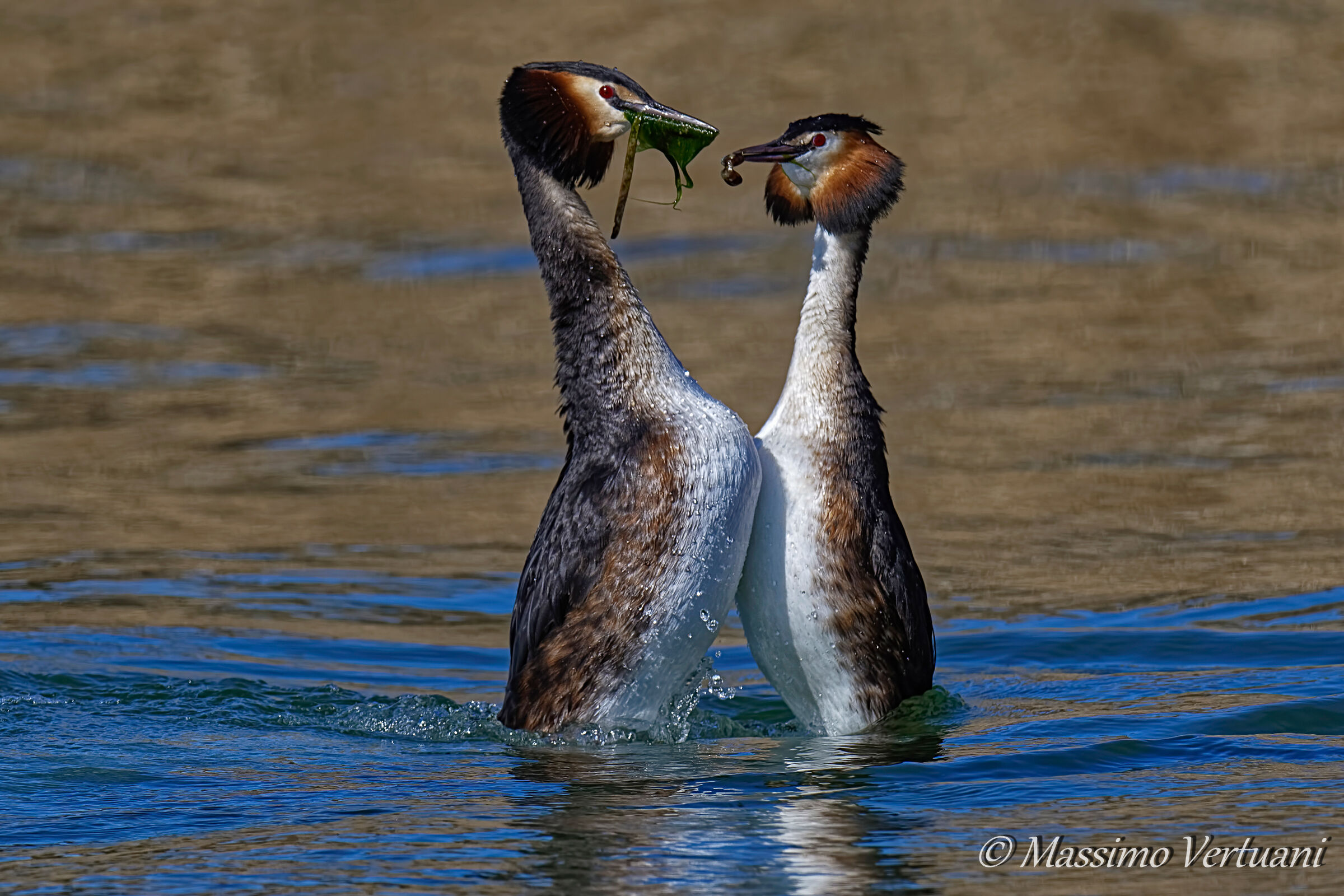 The exchange of gifts...