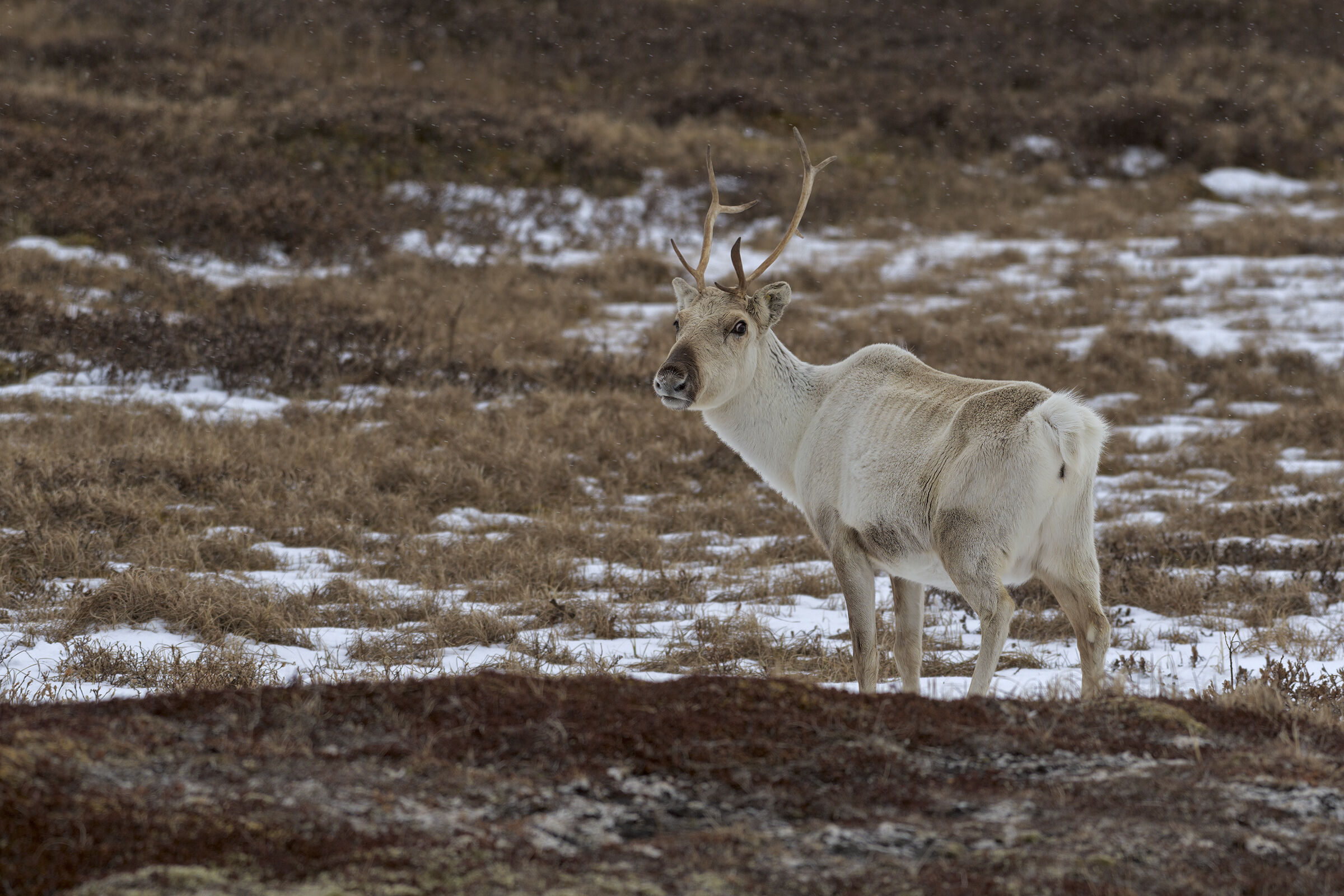 What are you looking at..