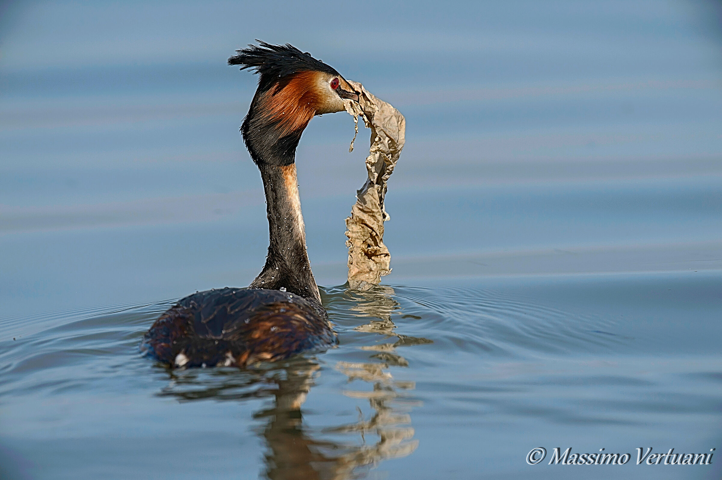 Foto Documentativa !!!!!!!