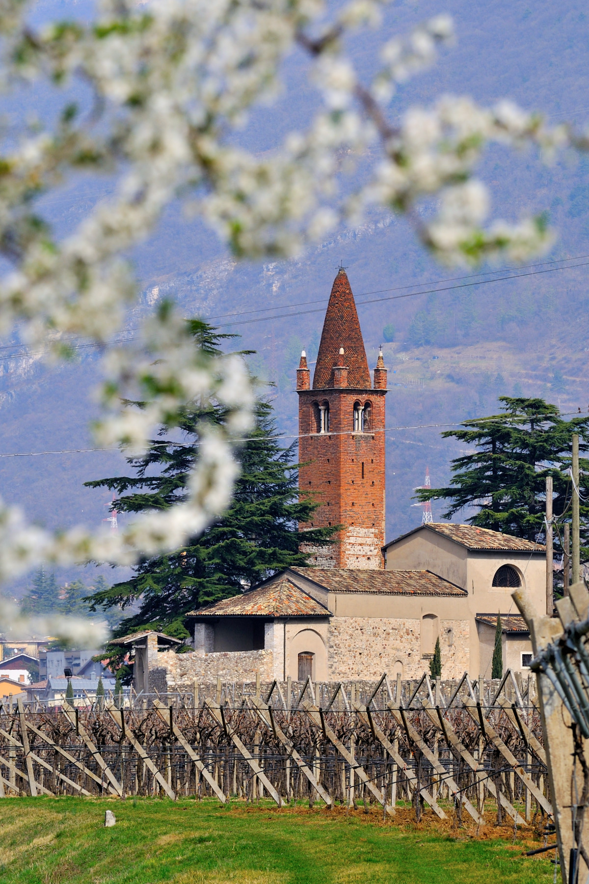 Chiesa romanica di S.Pietro in Bosco (Ala)