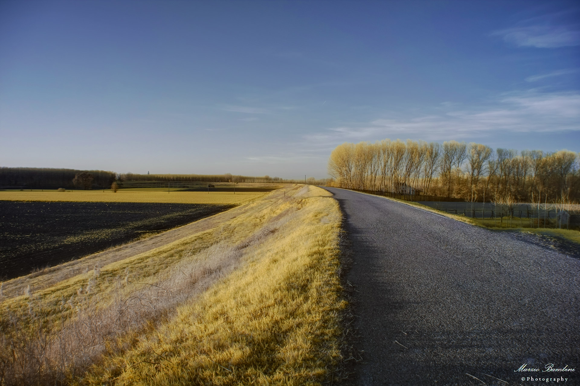 Carbonara, tramonto dorato in golena a Po
