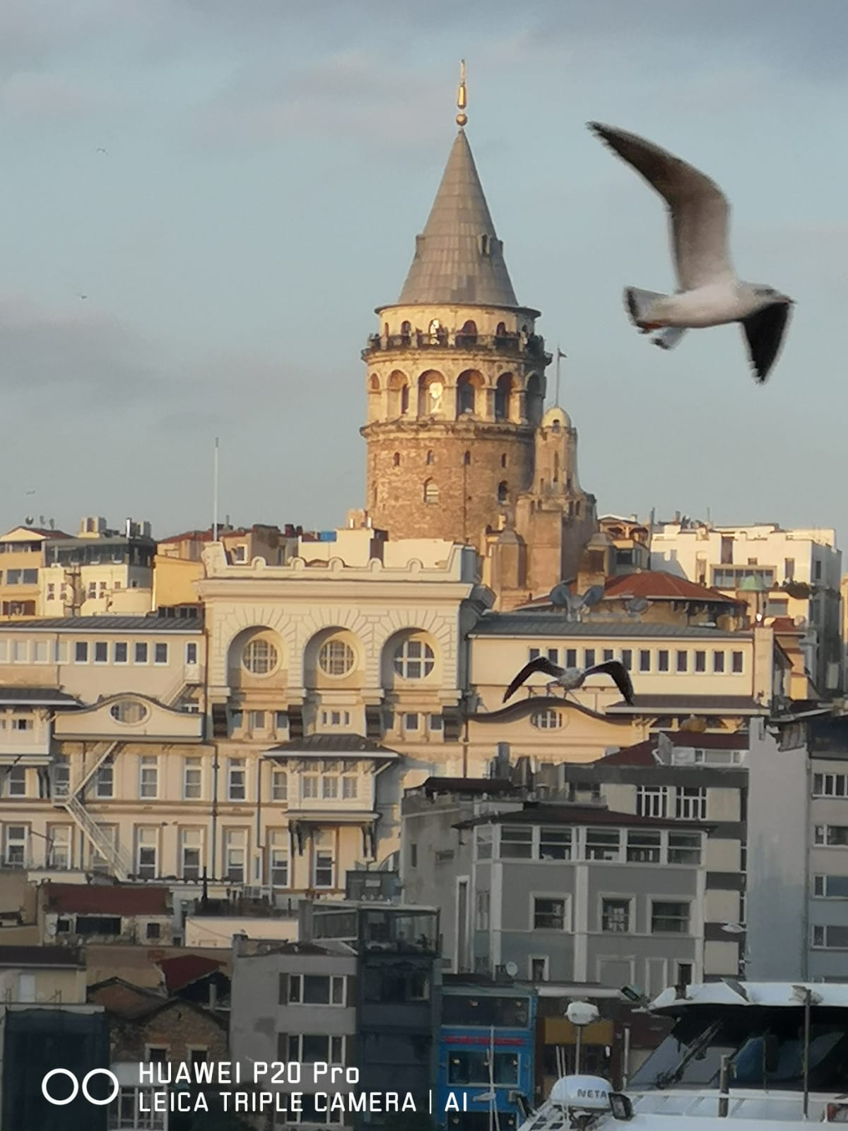 galata tower
