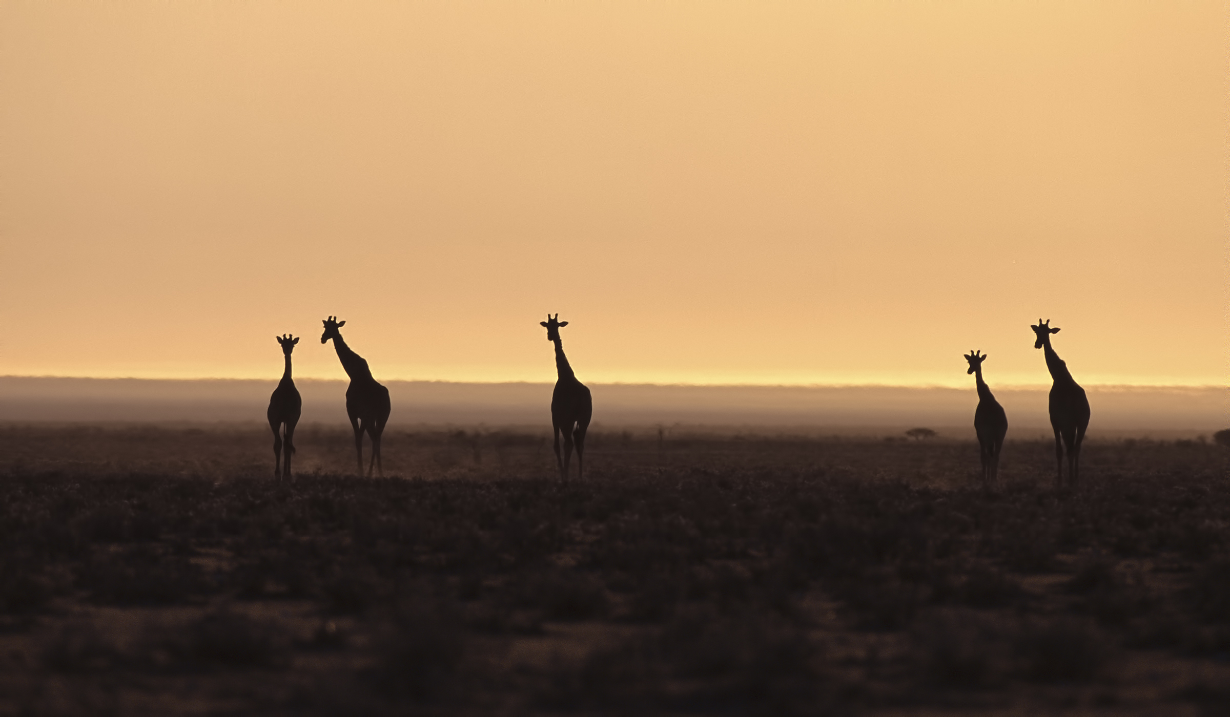 Sunset at Etosha