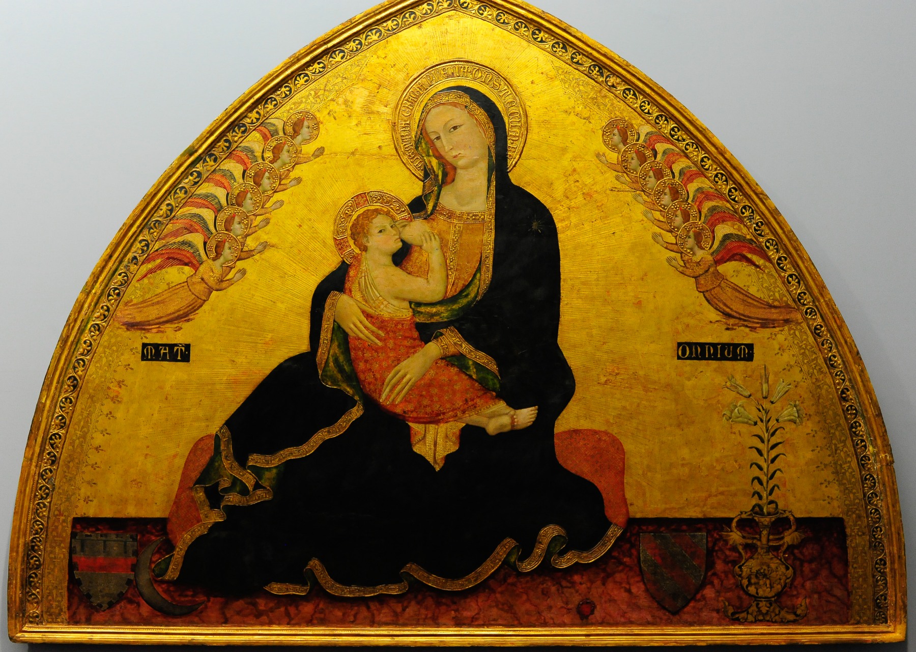 Madonna dell' Umilta by Roberto d' Oderisio