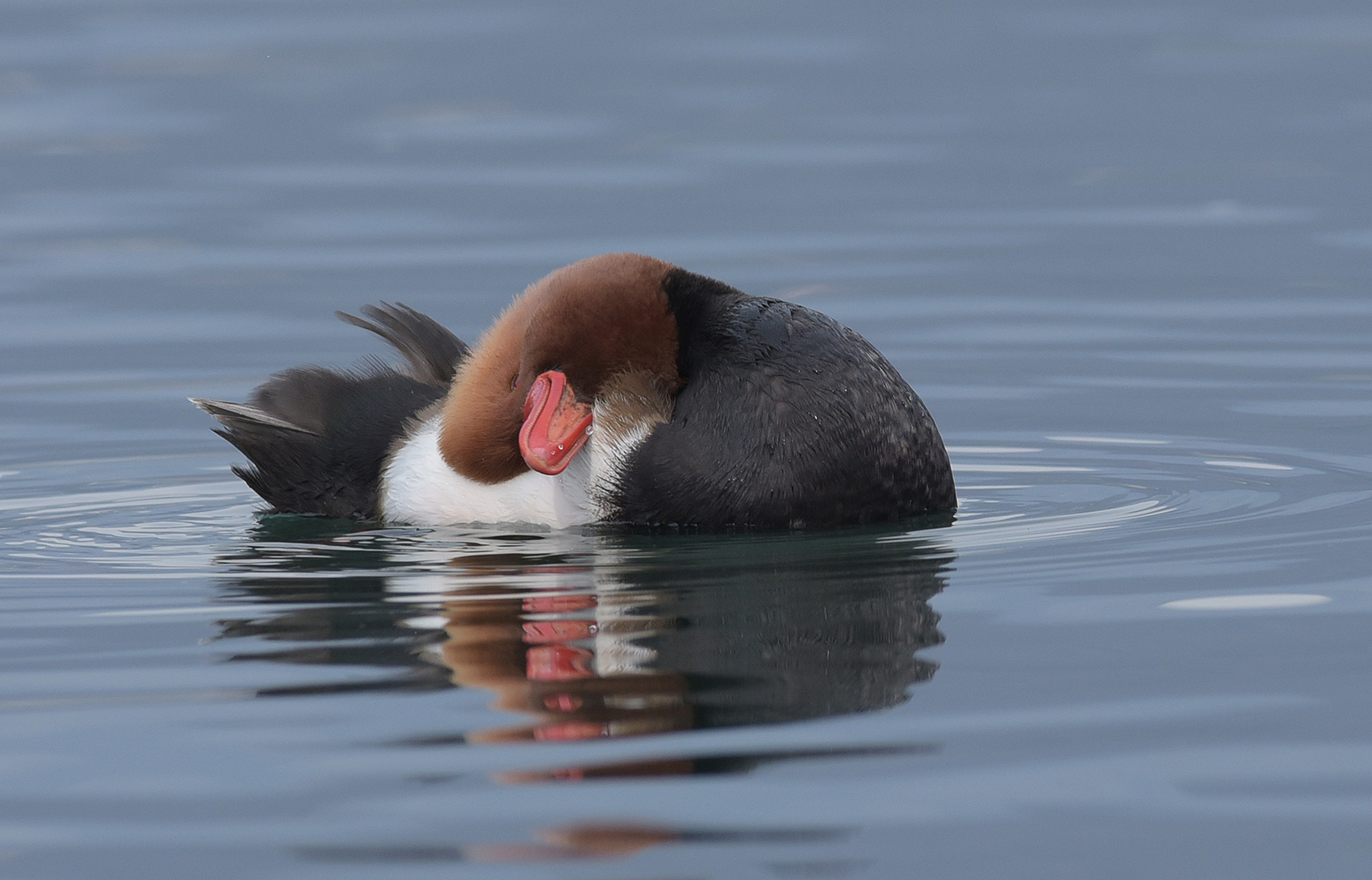 ... A little ashamed