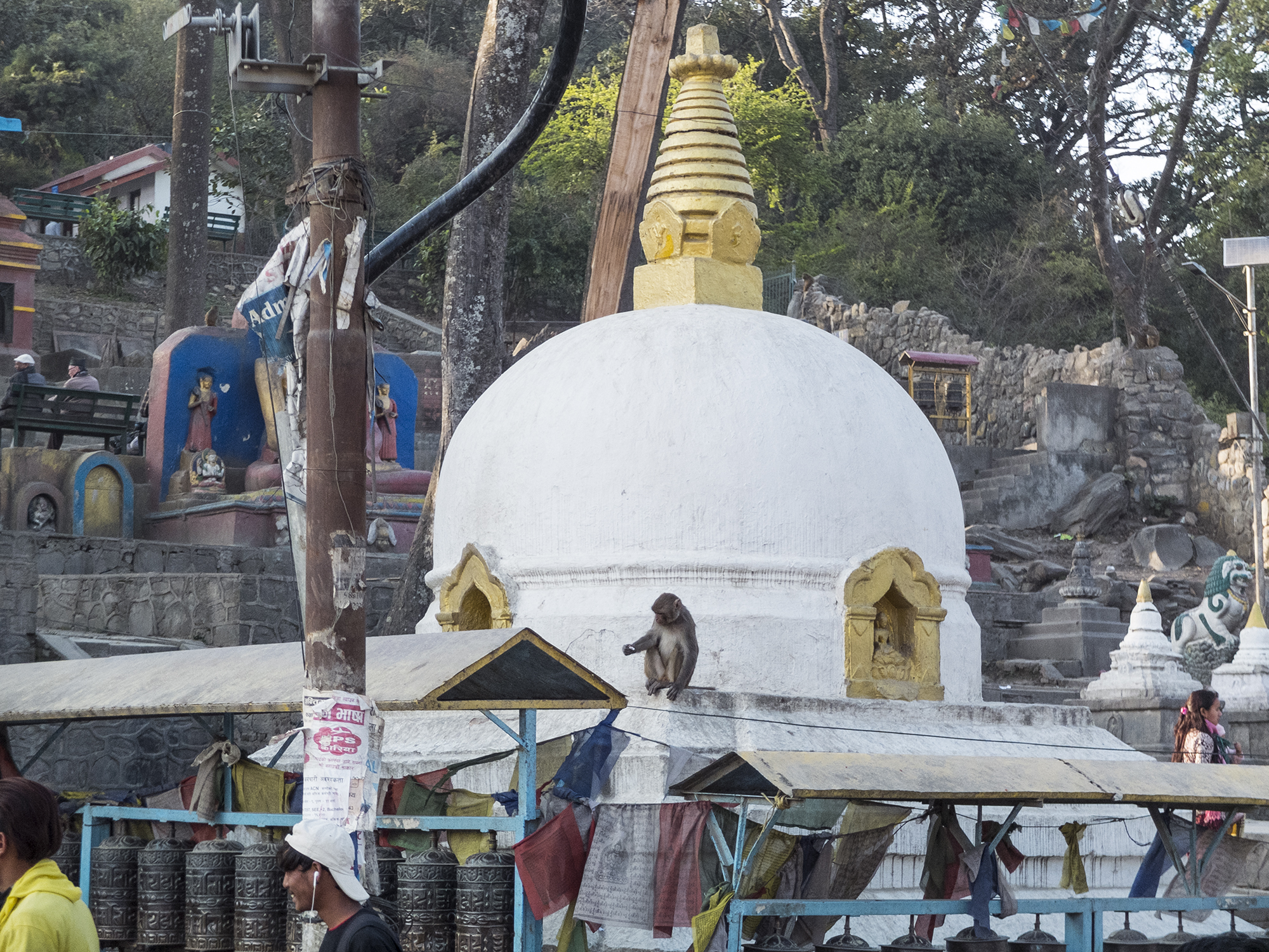 Jack in Kathmandu 2