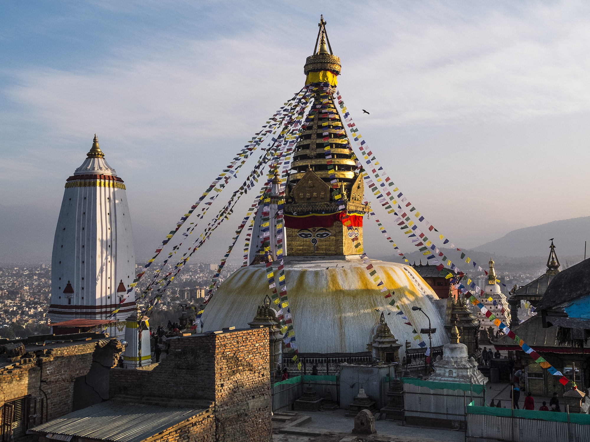 Jack a kathmandu 12