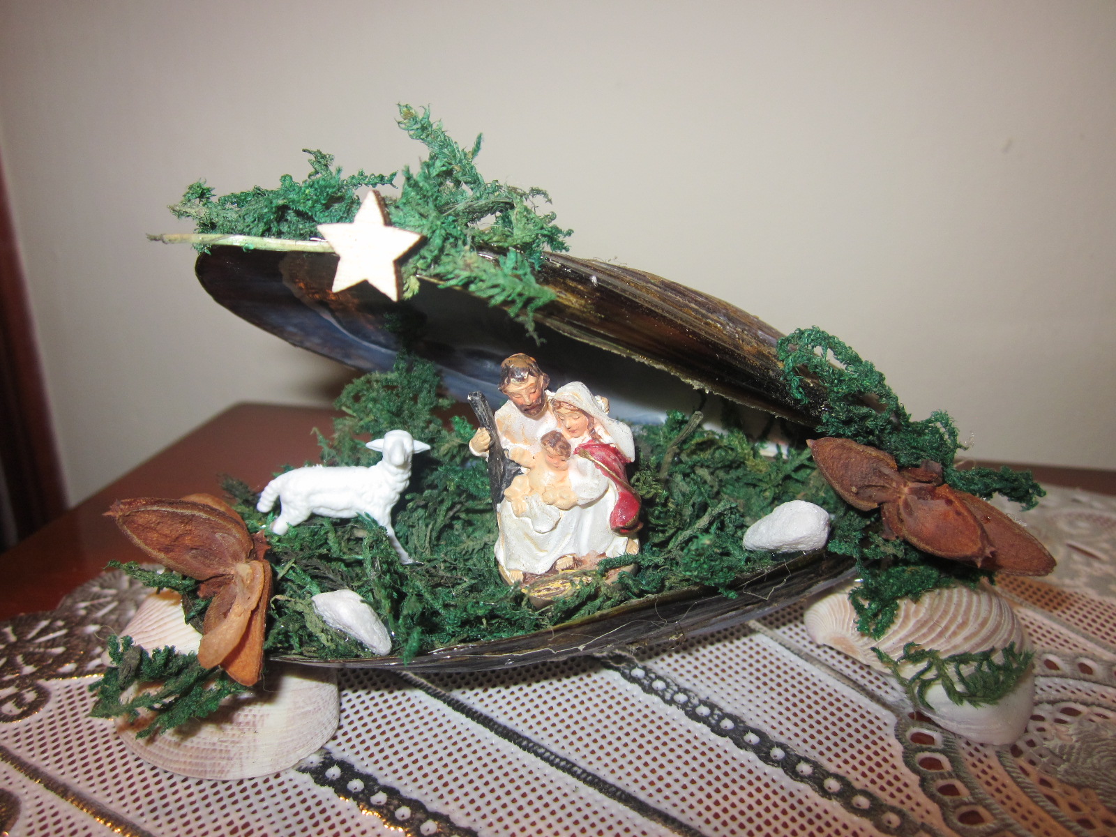 Crib with shell of mussel