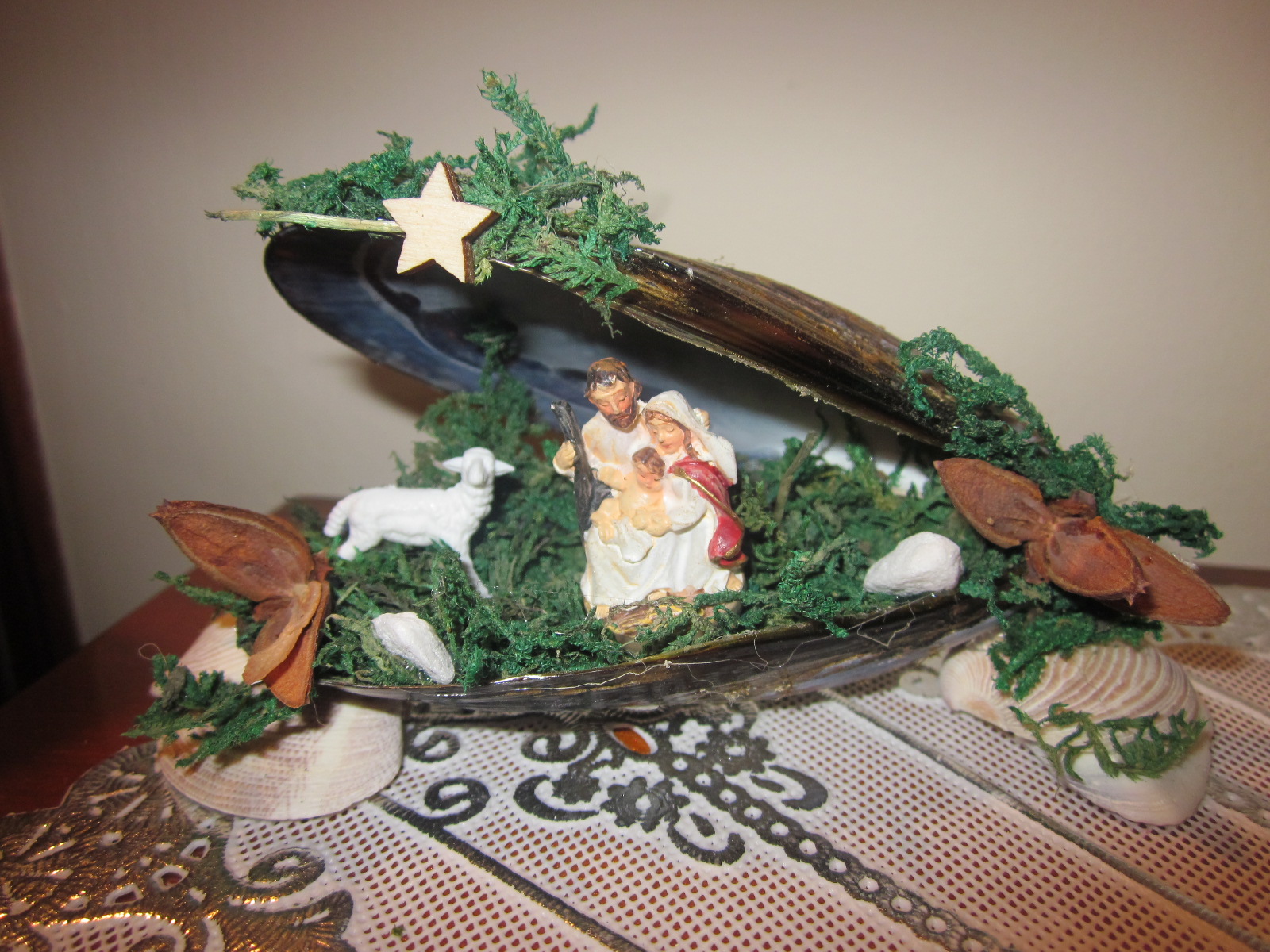 Crib with shell of mussel