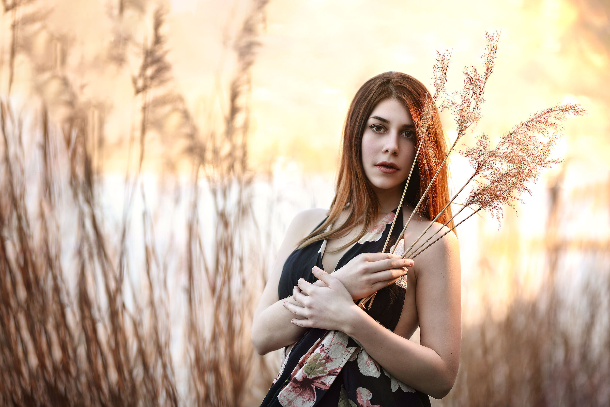 The warm light of sunset