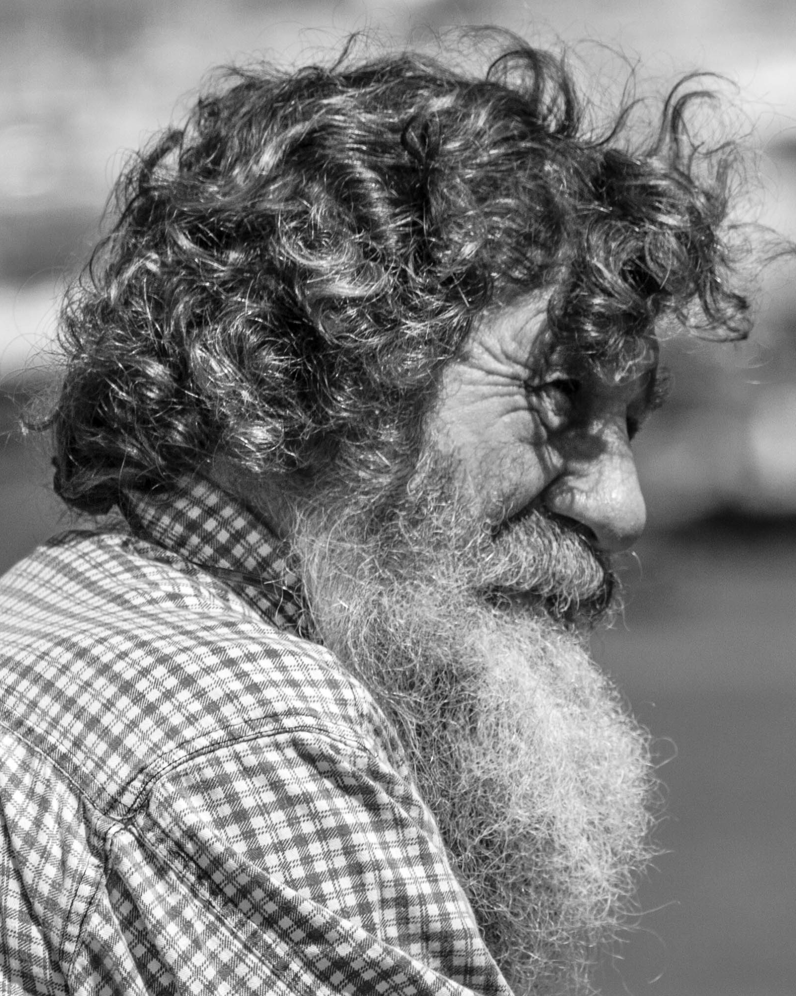 Il vecchio lupo di mare 2