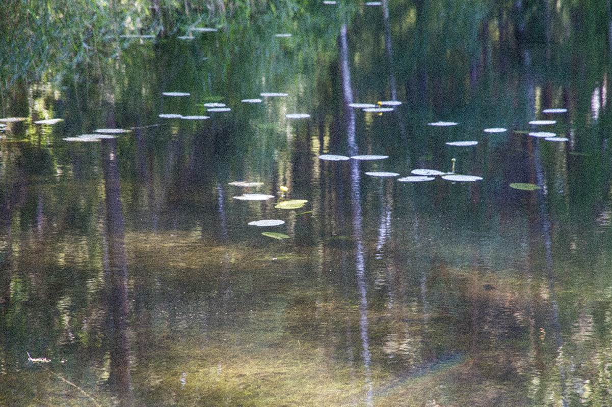 No it's not a picture of Monet