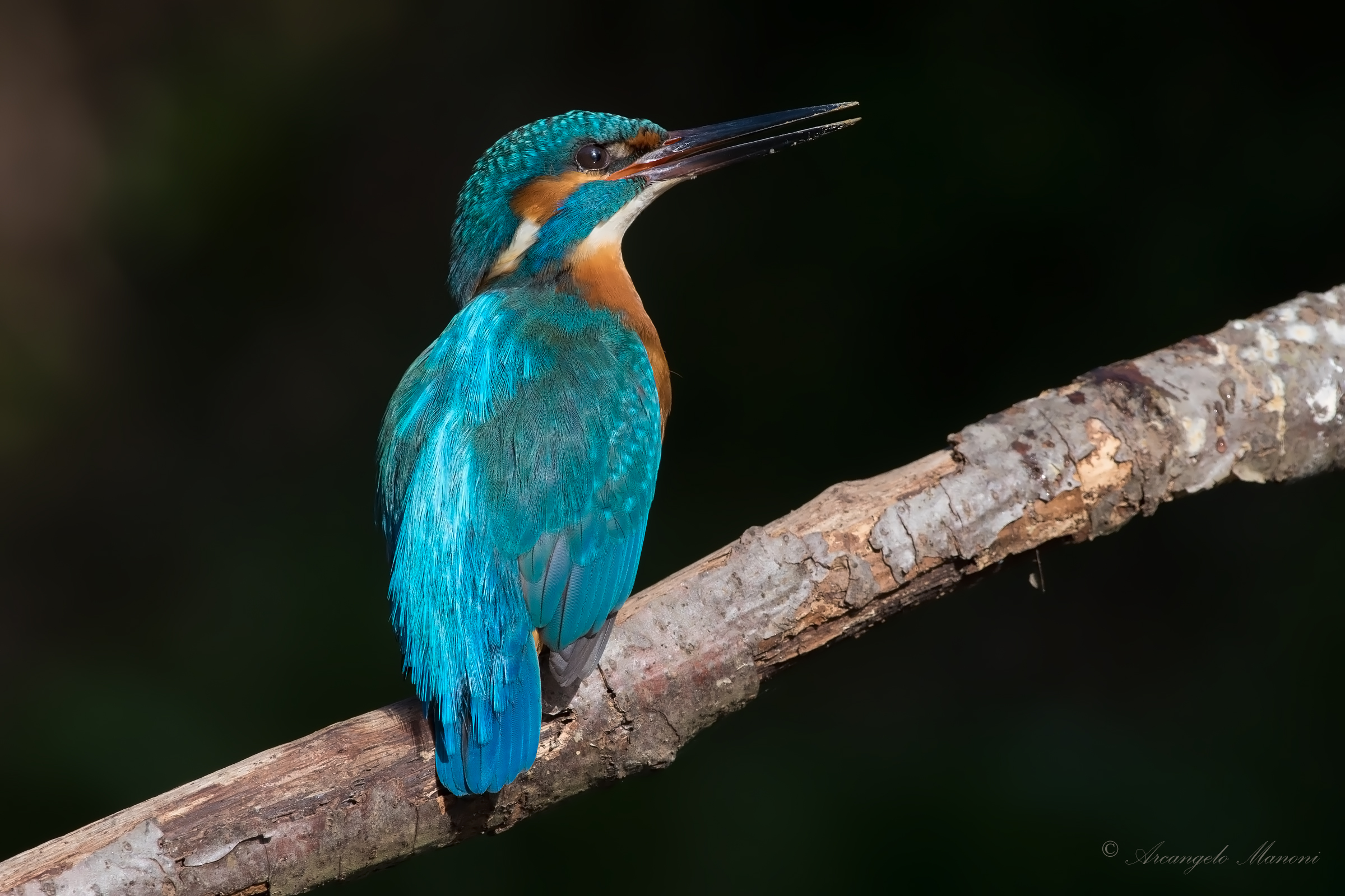 The signs of the work