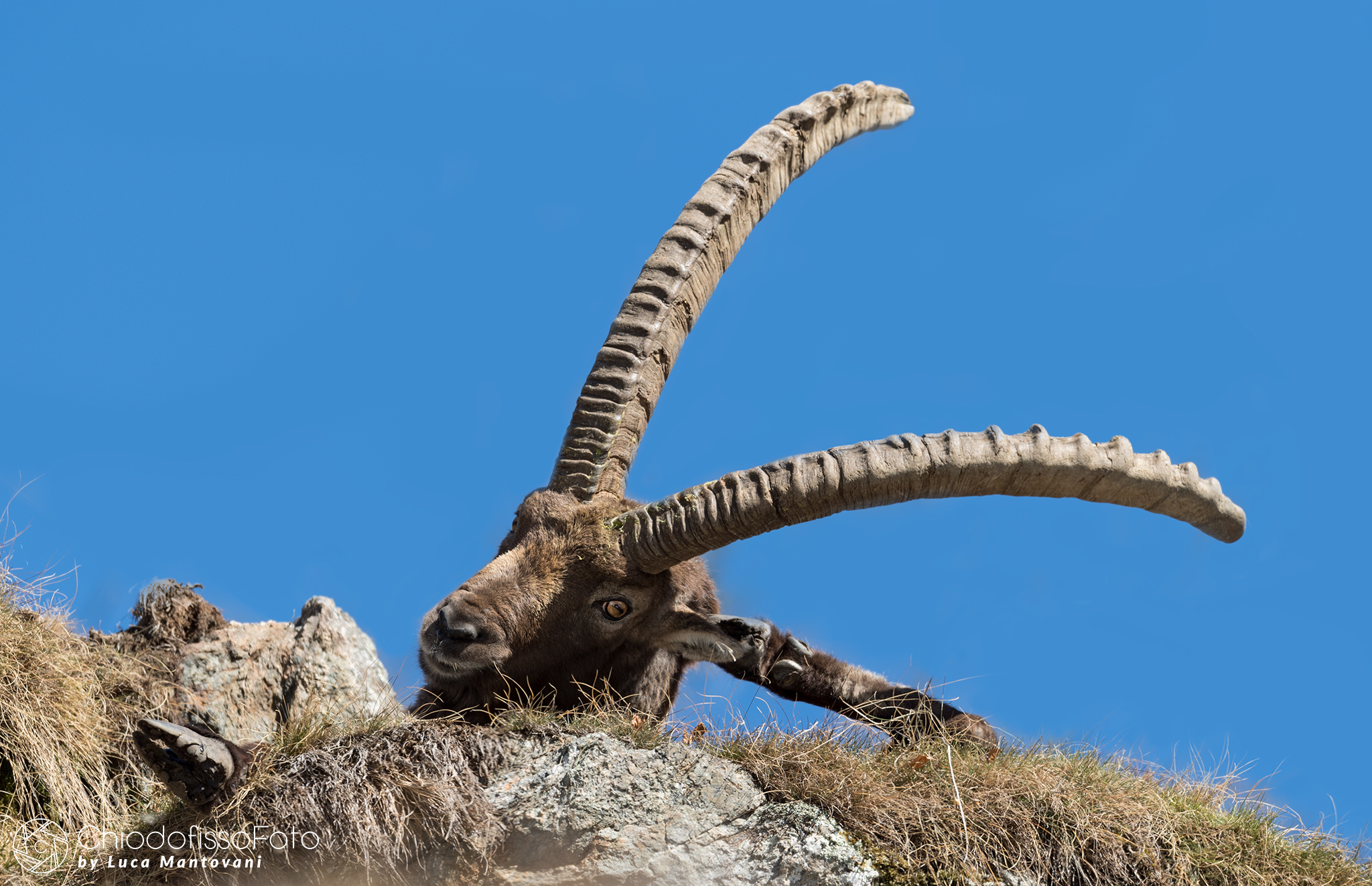 Ahó, ma che stai a dì???? Nun te sento.....