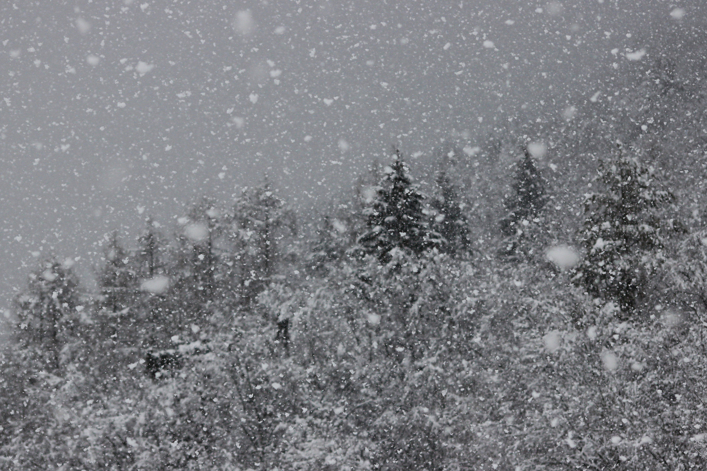 Qualcuno ne sente la mancanza?