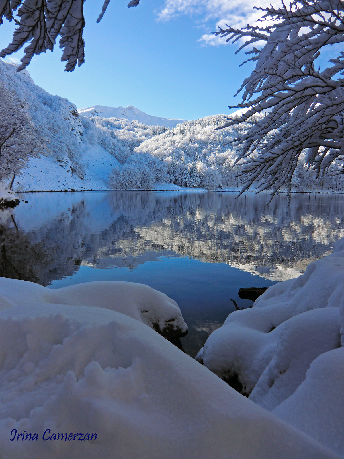 In un regno lontano lontano.....