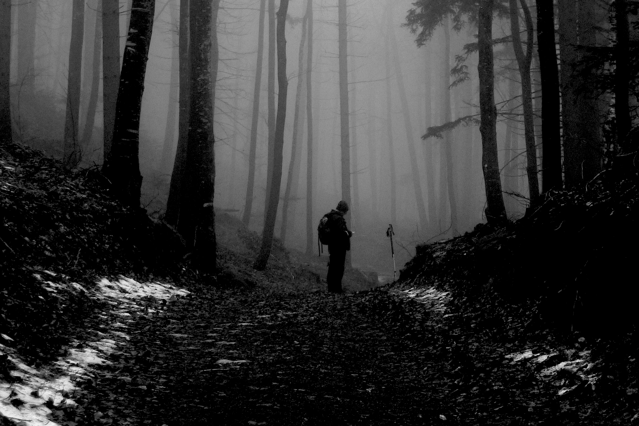 Lost