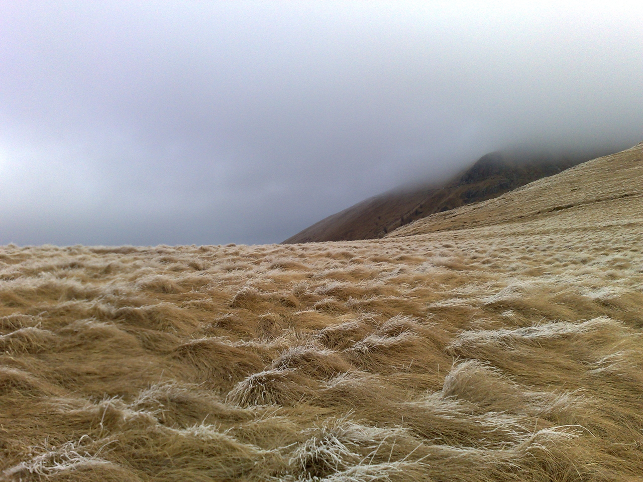 Mountain in Motion