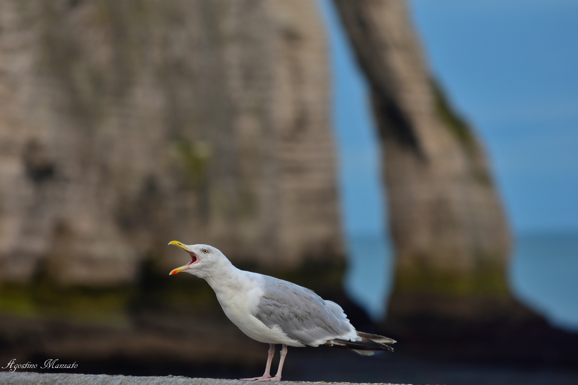 La sveglia di Etretat