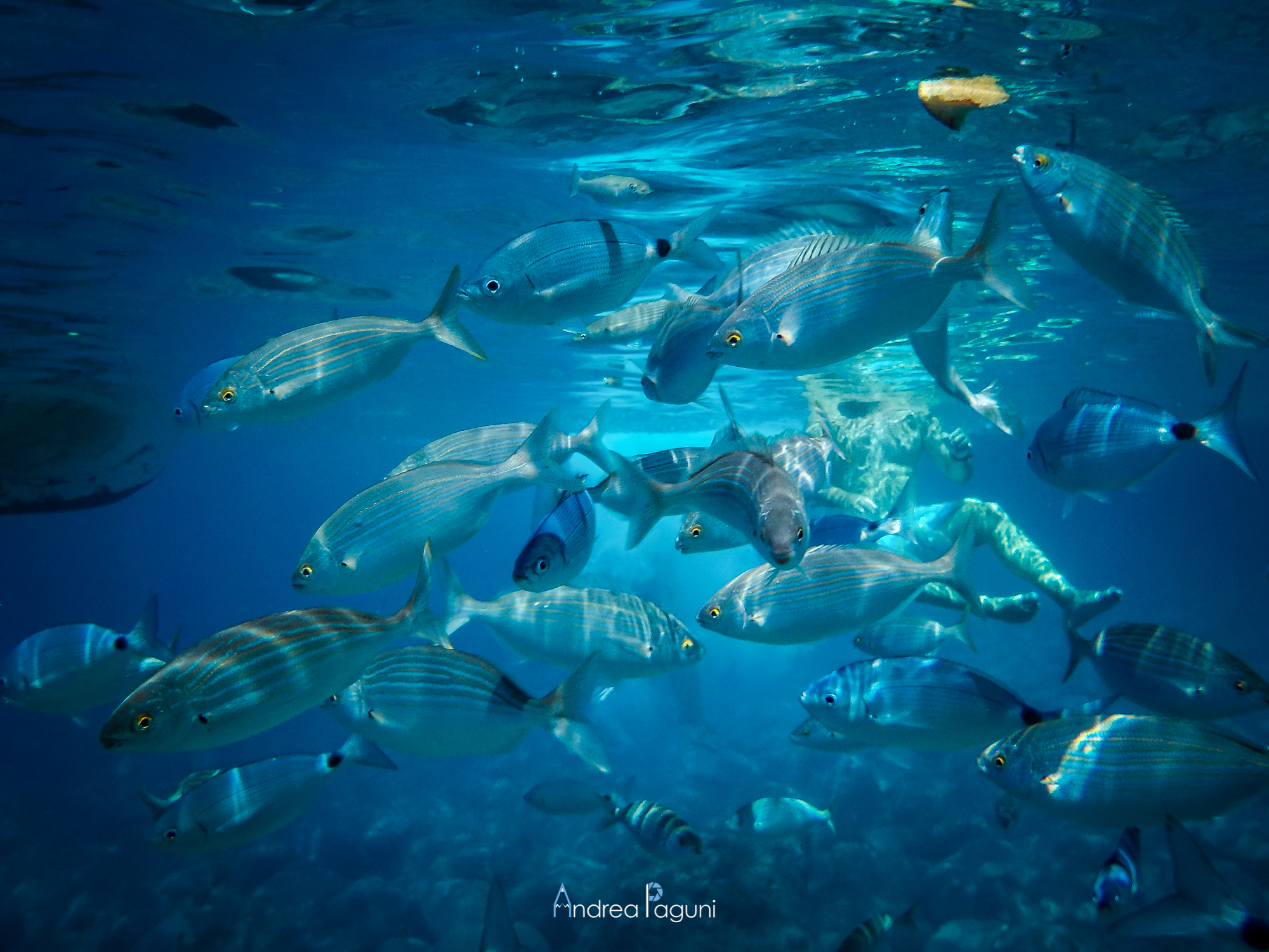 Beautiful Island Underwater