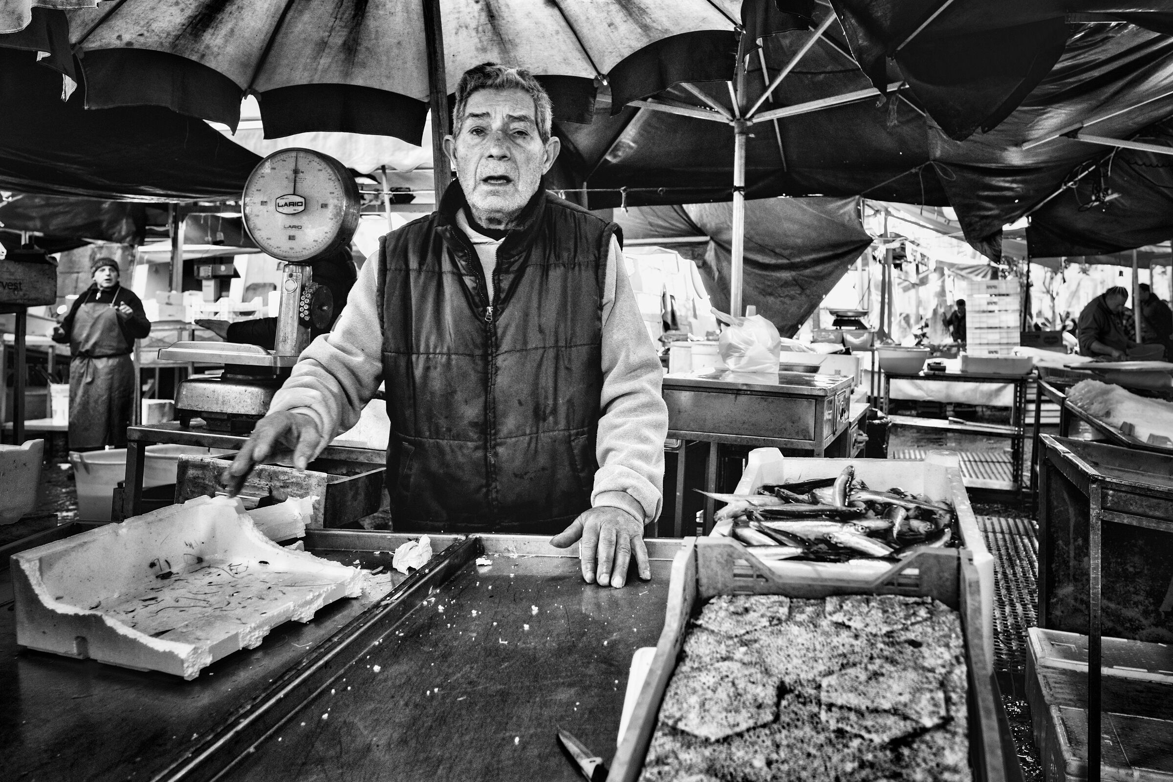 U pisciaru zoccu potta vannia