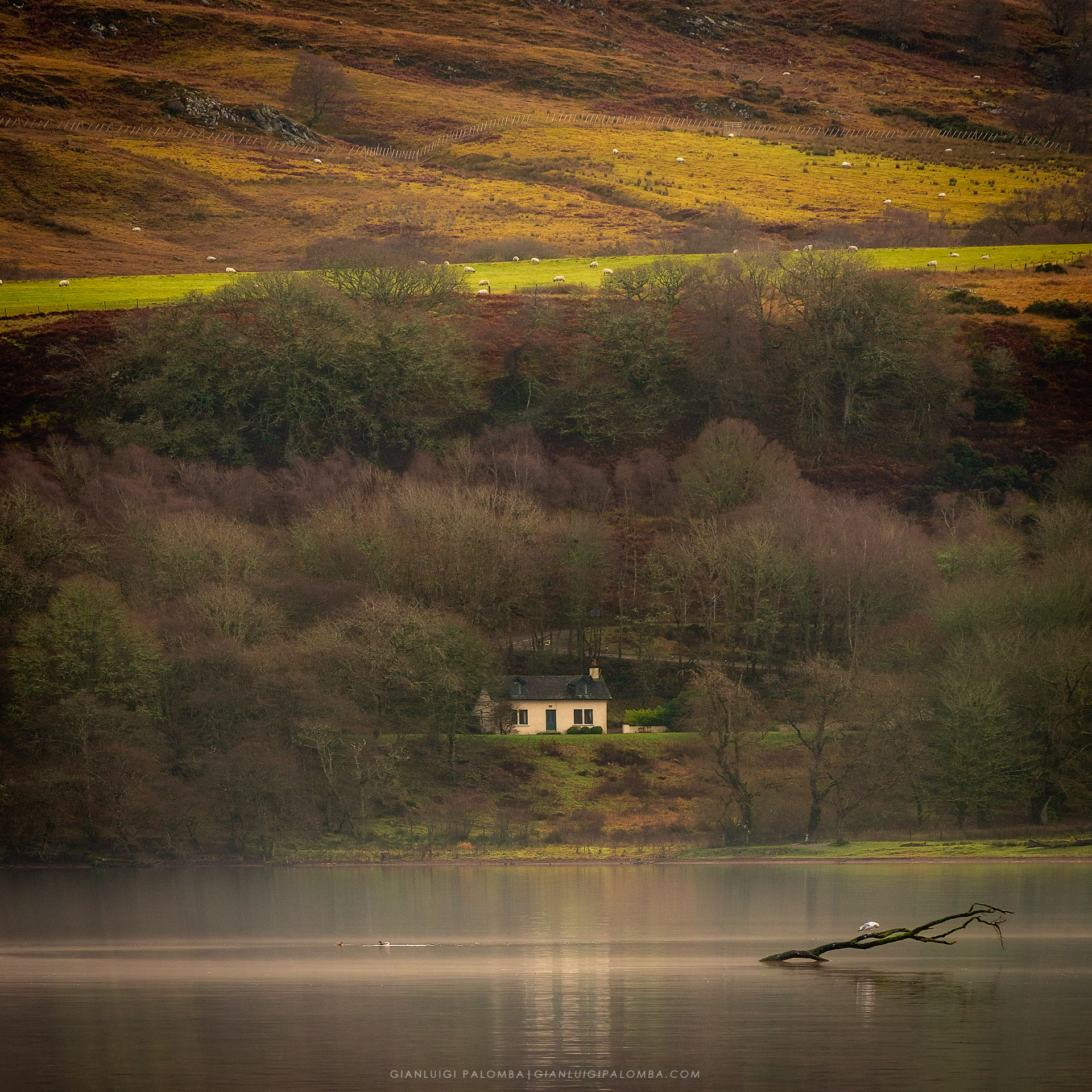 The house by the Loch