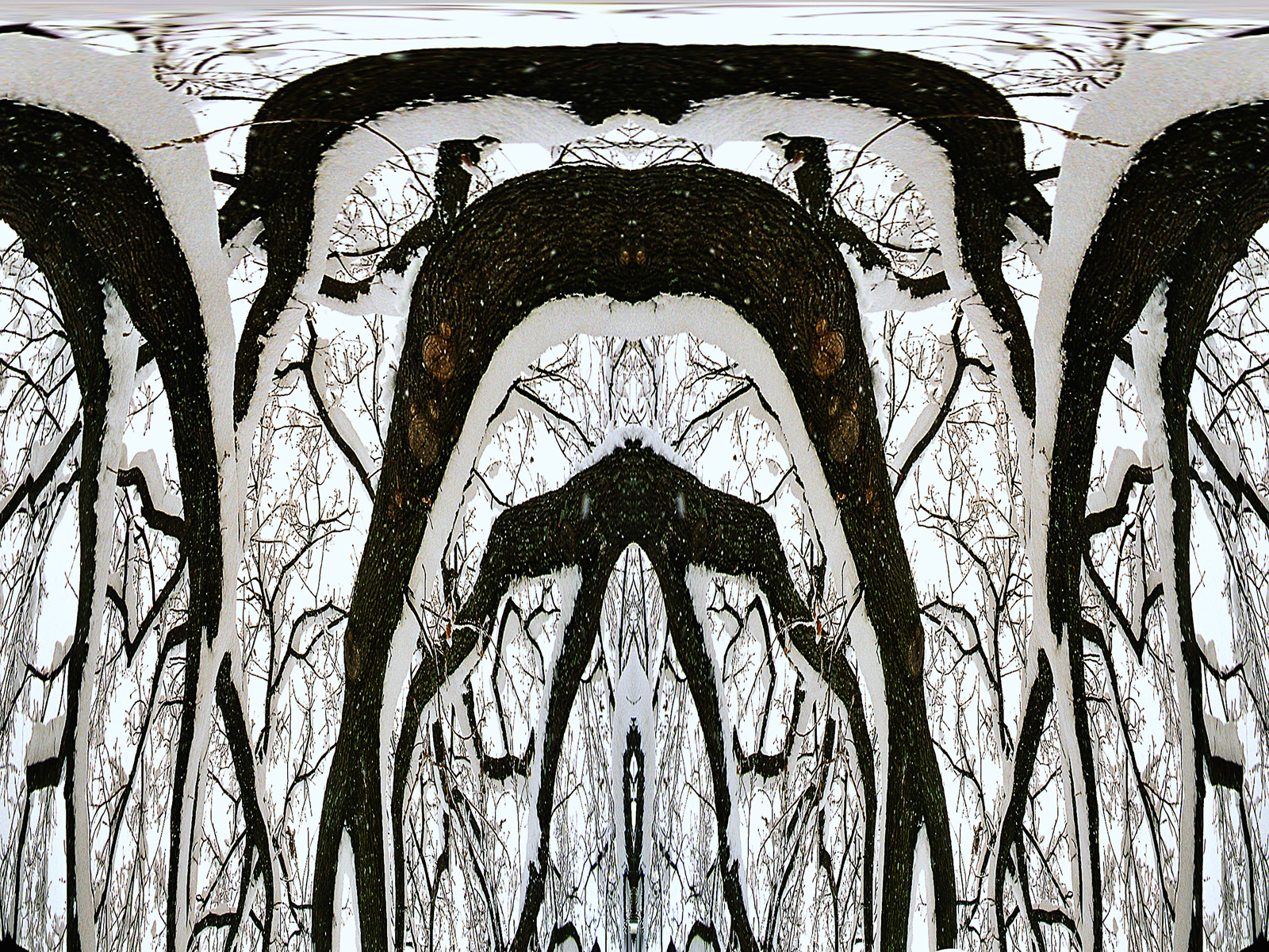 Branched Fantasies - The Ent