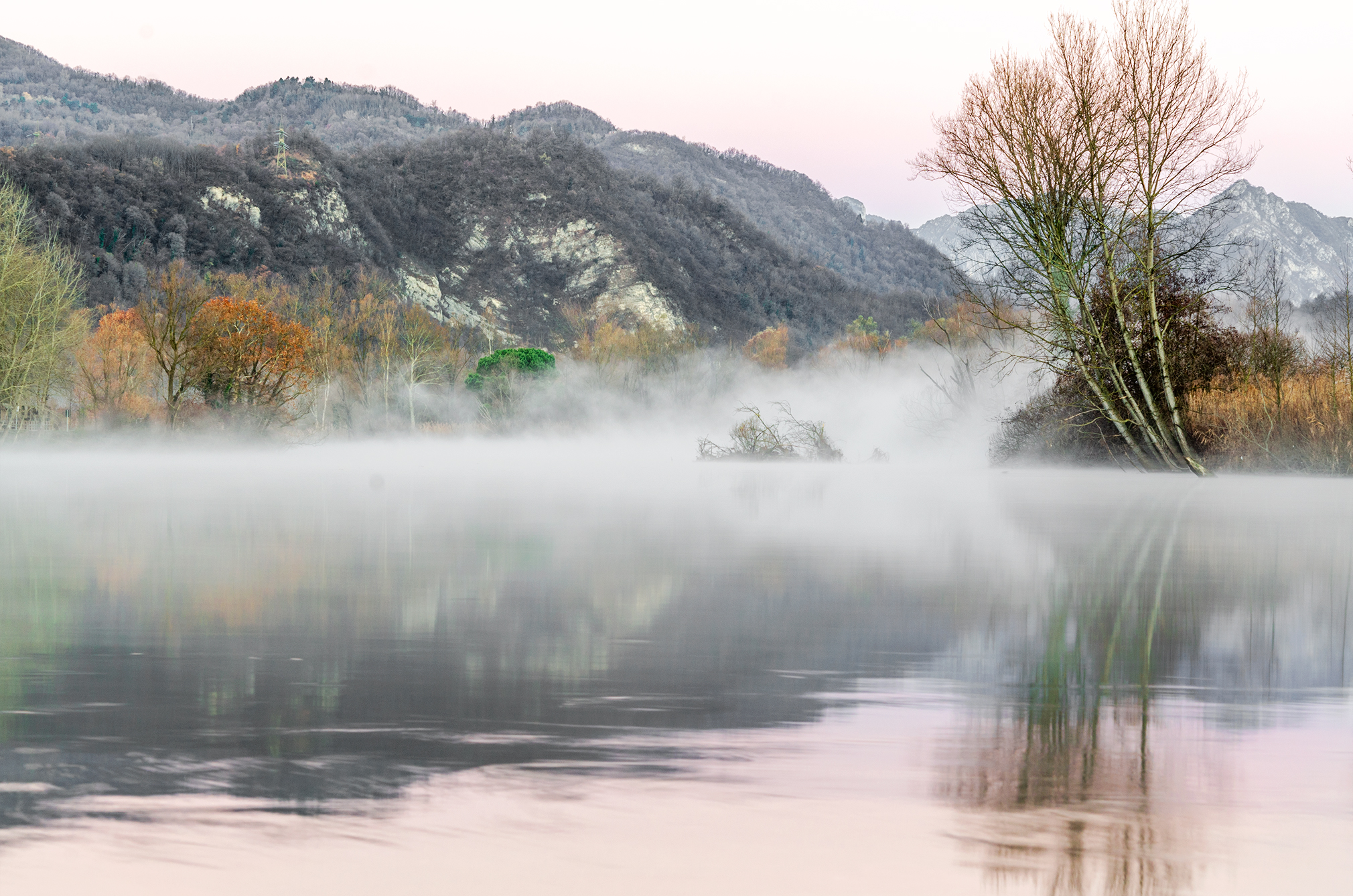 I colori speciali della natura