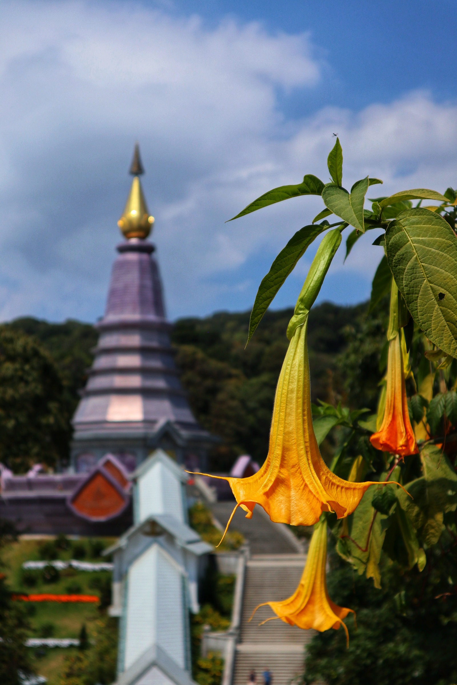 Between Temples and mountains