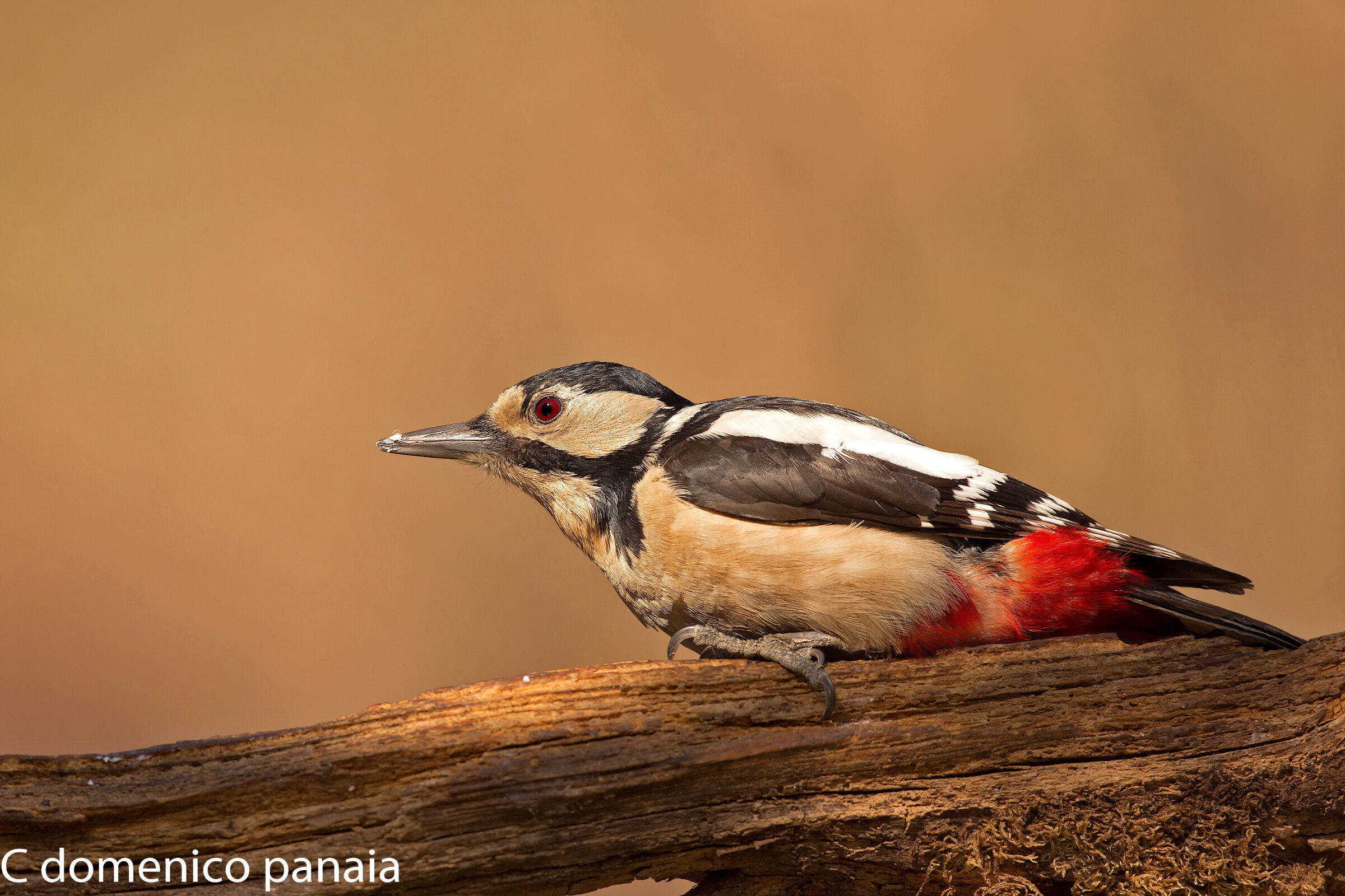 ma non sei stufo di fotografarmi?