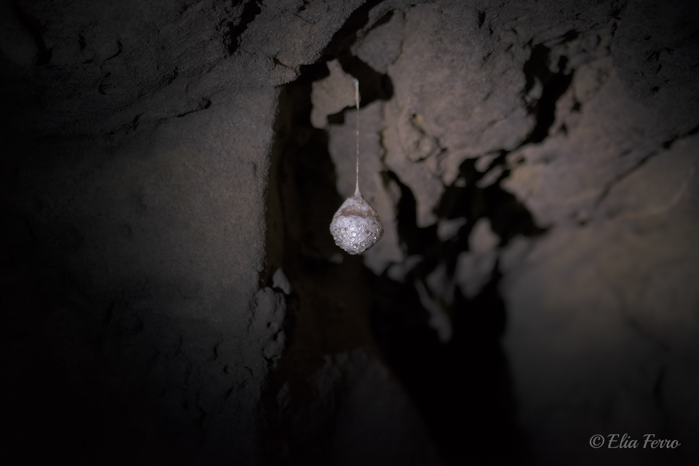 Hanging by a thread..