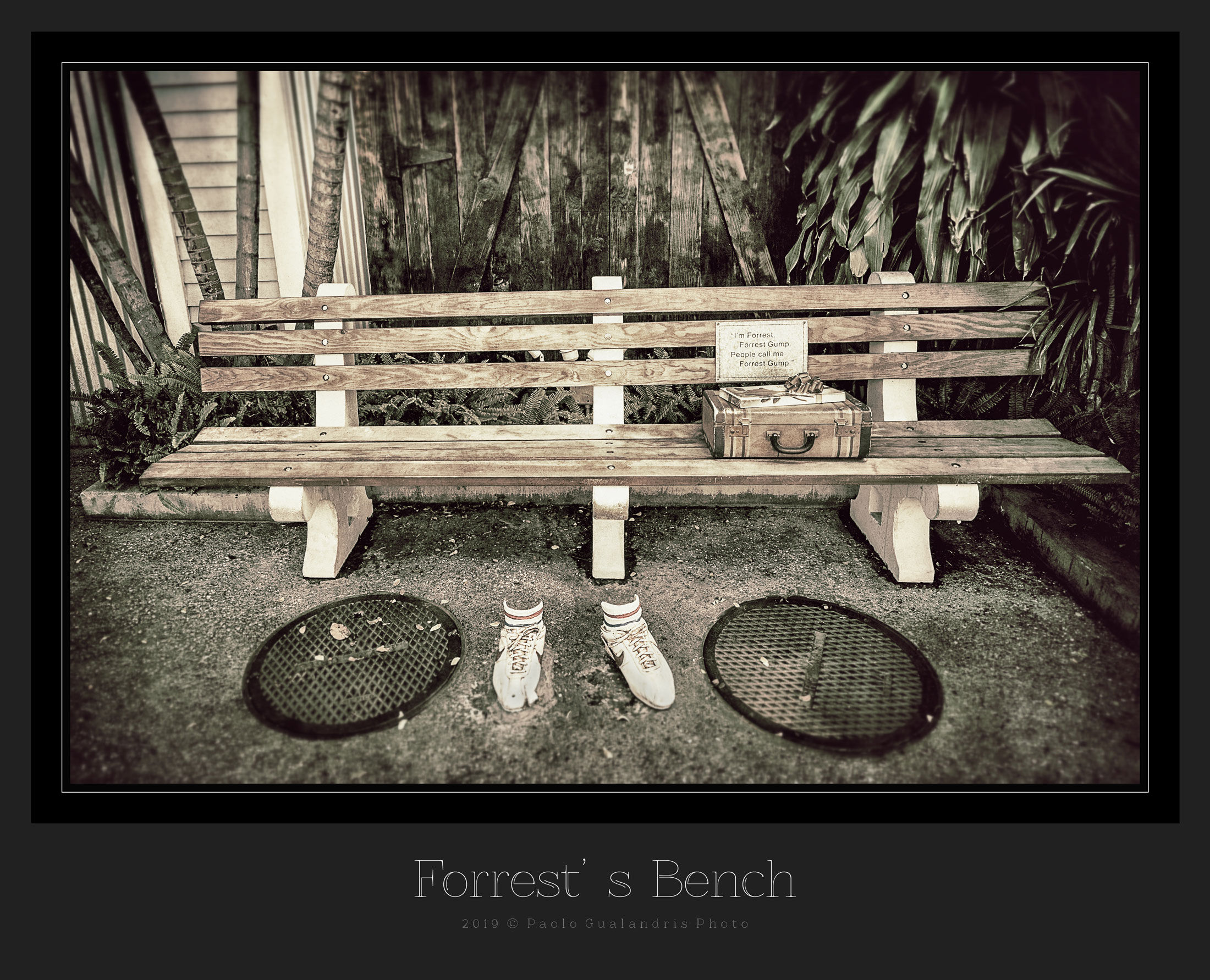 Forrest's Bench