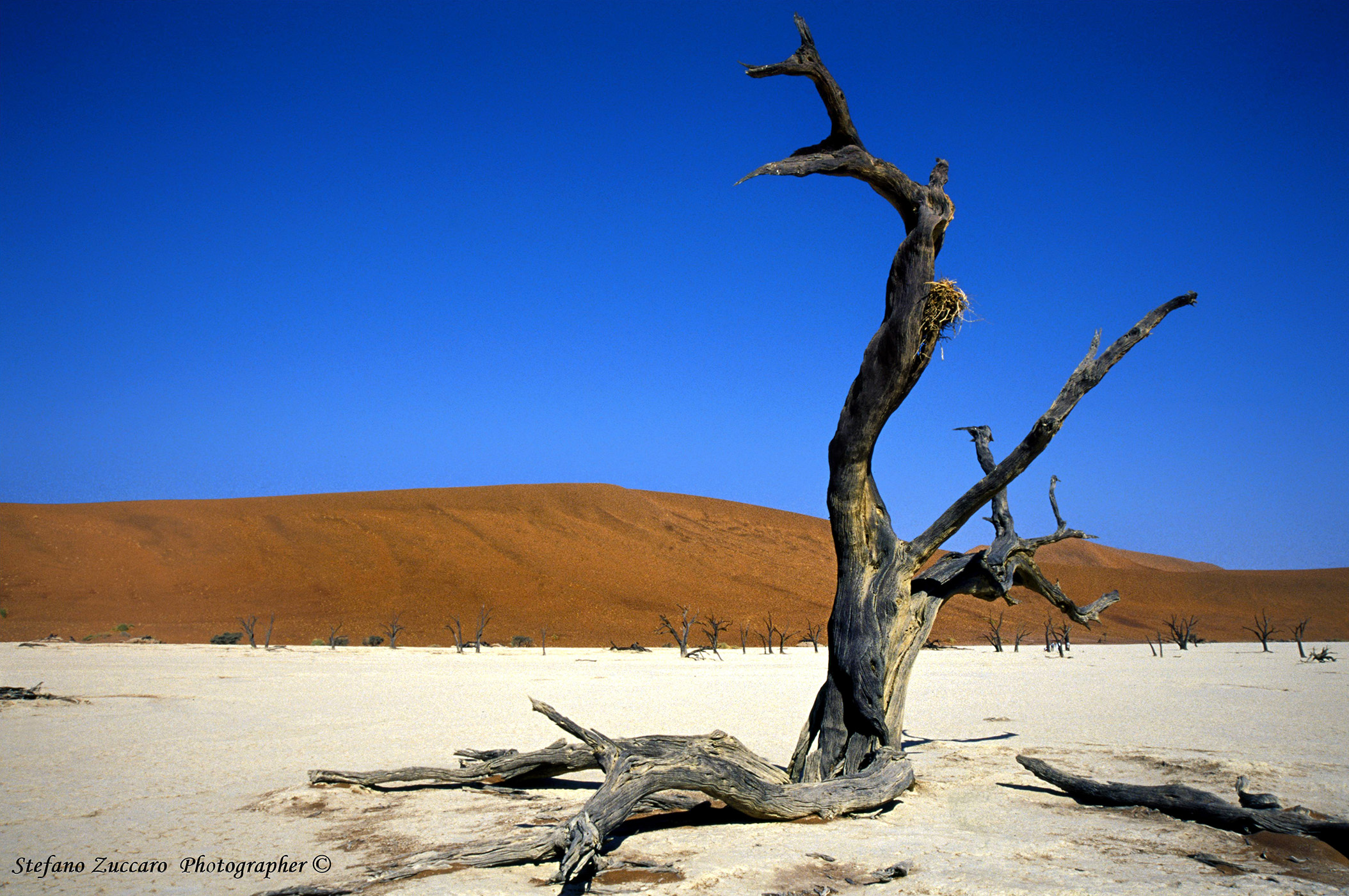 Sossusvlei Lago effimero