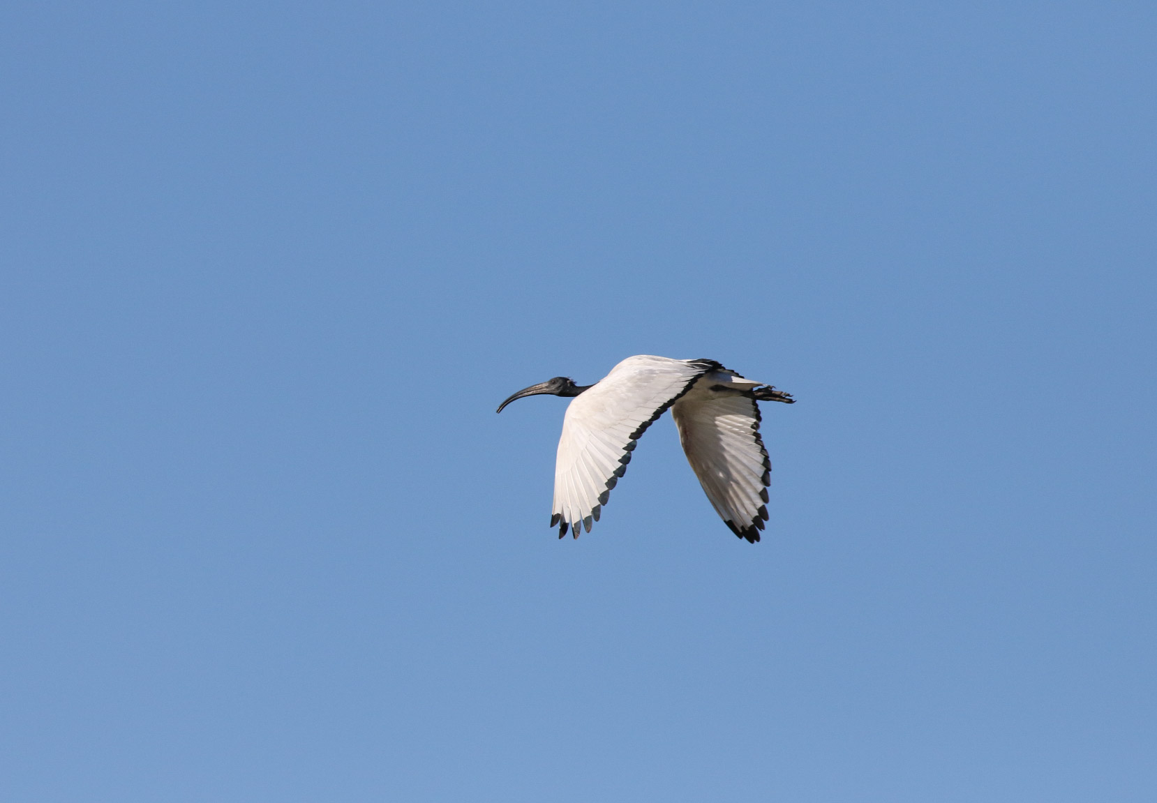 Volando sopra il Ticino