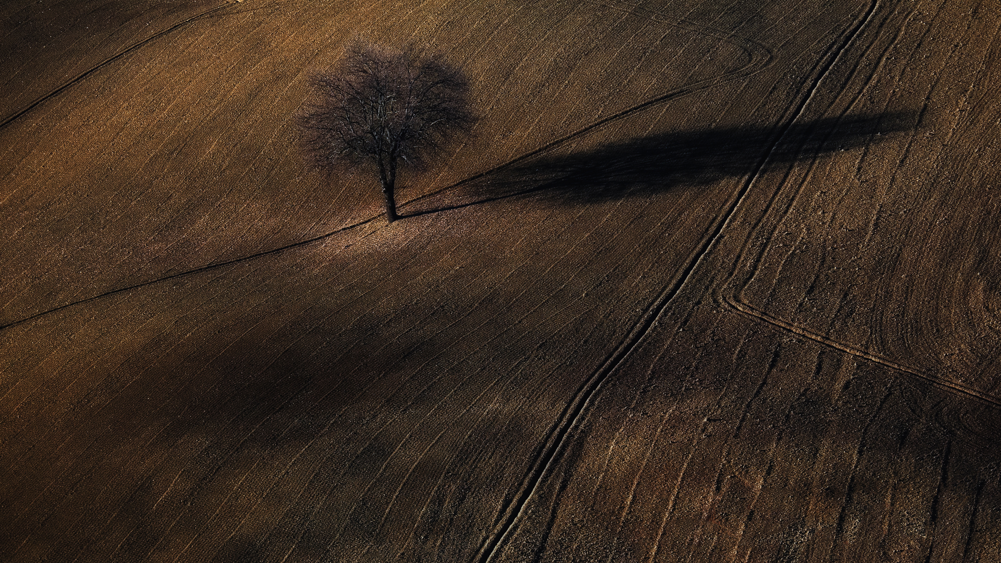 A glimpse of the countryside