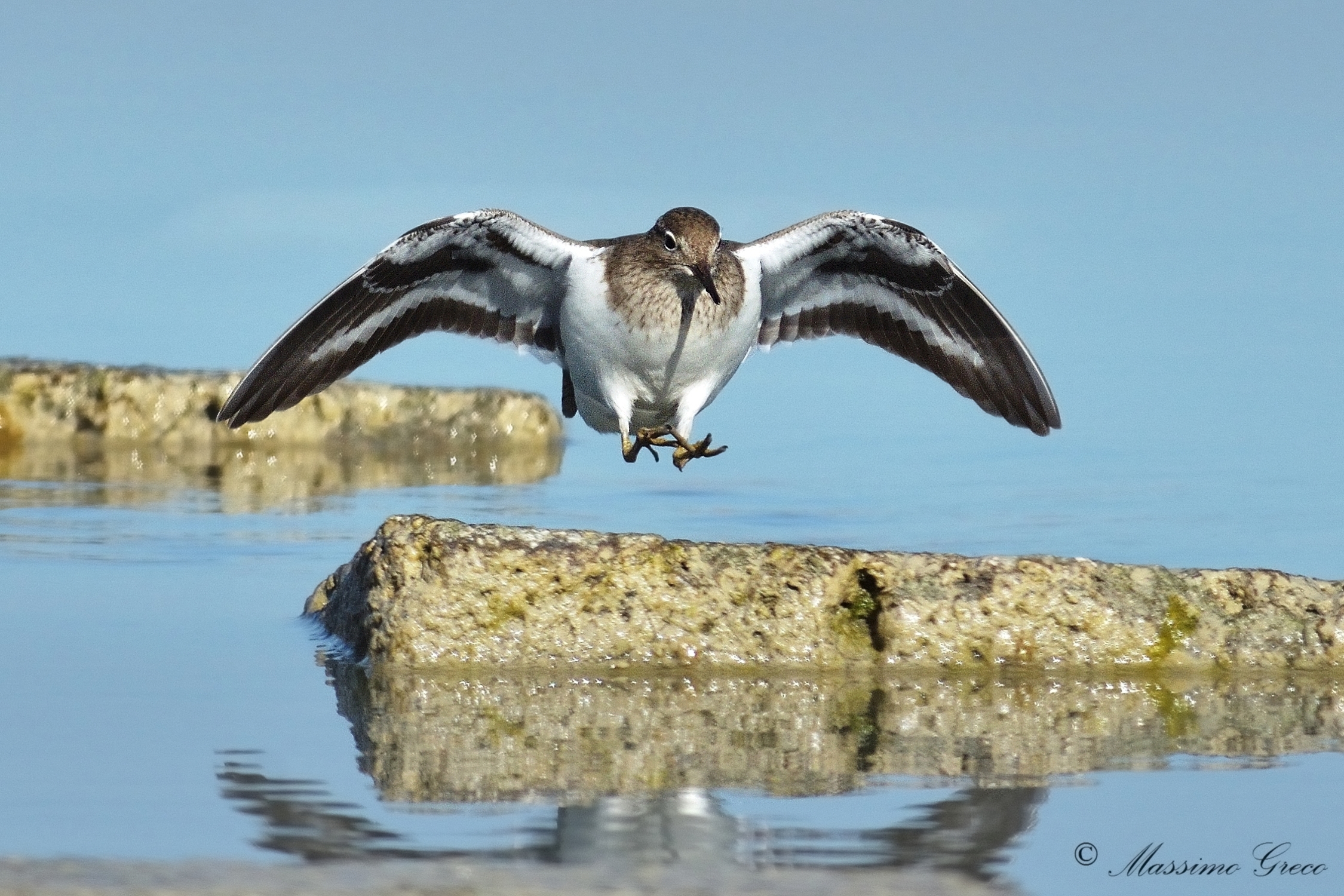 110 m obstacles Pyro Pyro Piccolo