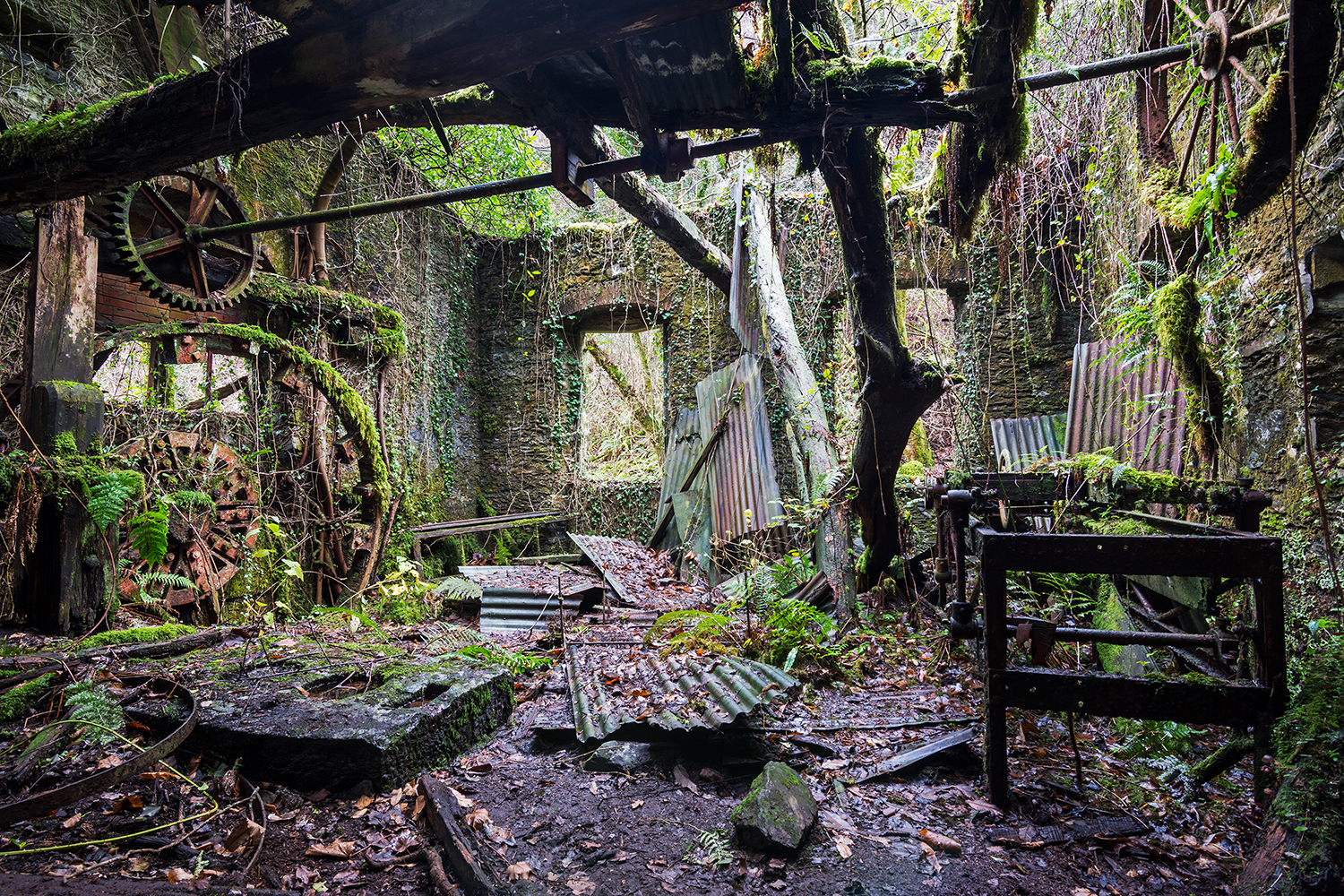 In the old miners ' country