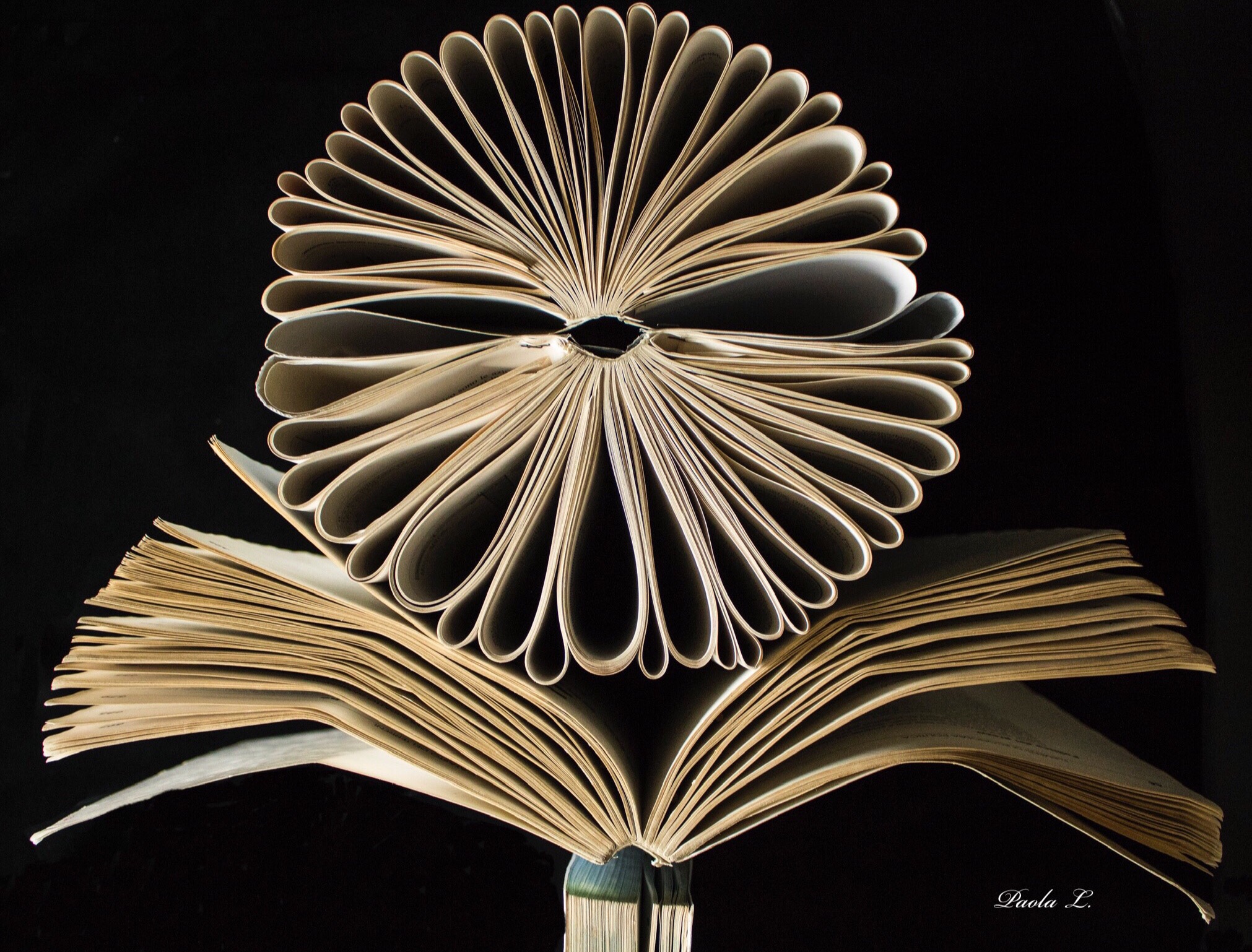 Book flower