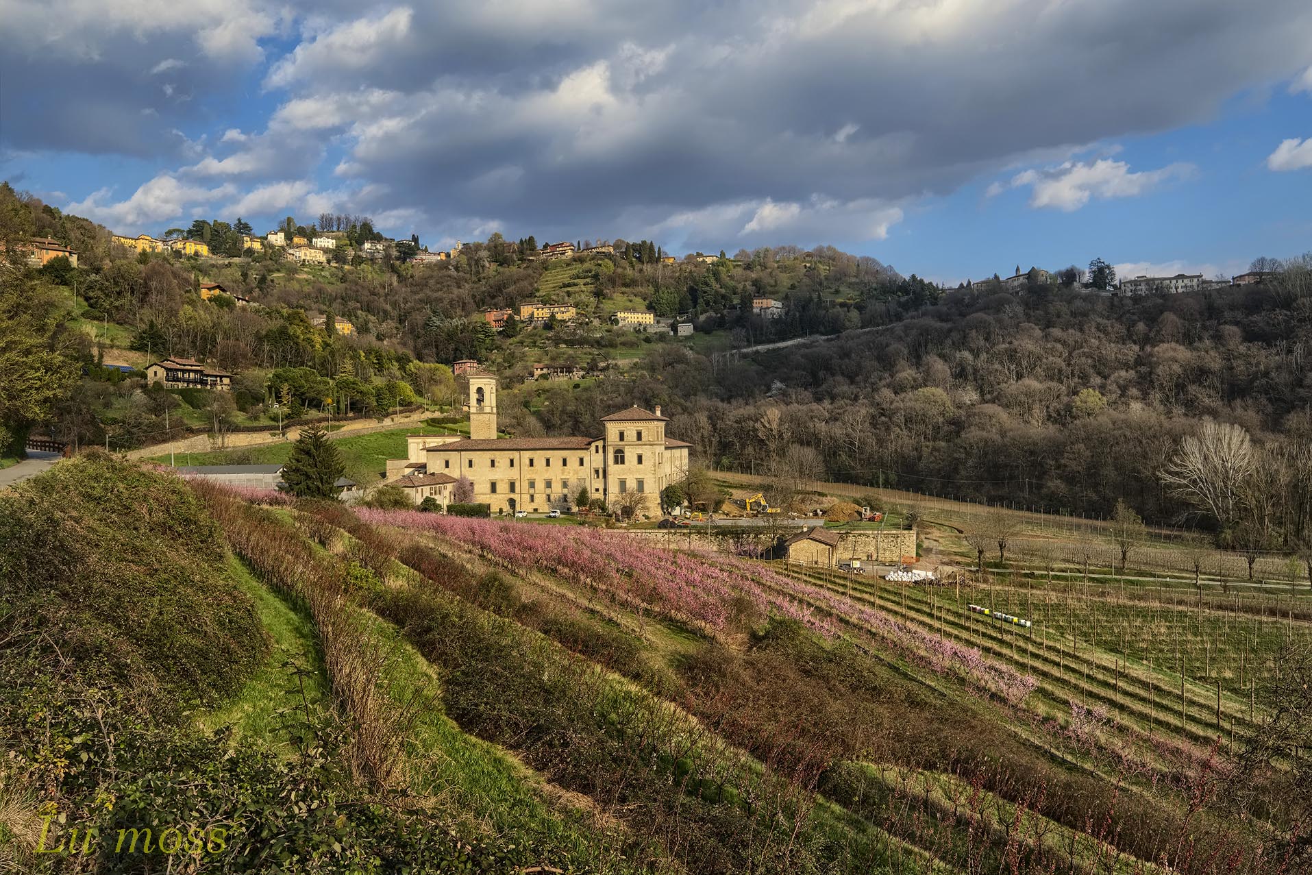 Tappeto Rosa per la valle di astino.