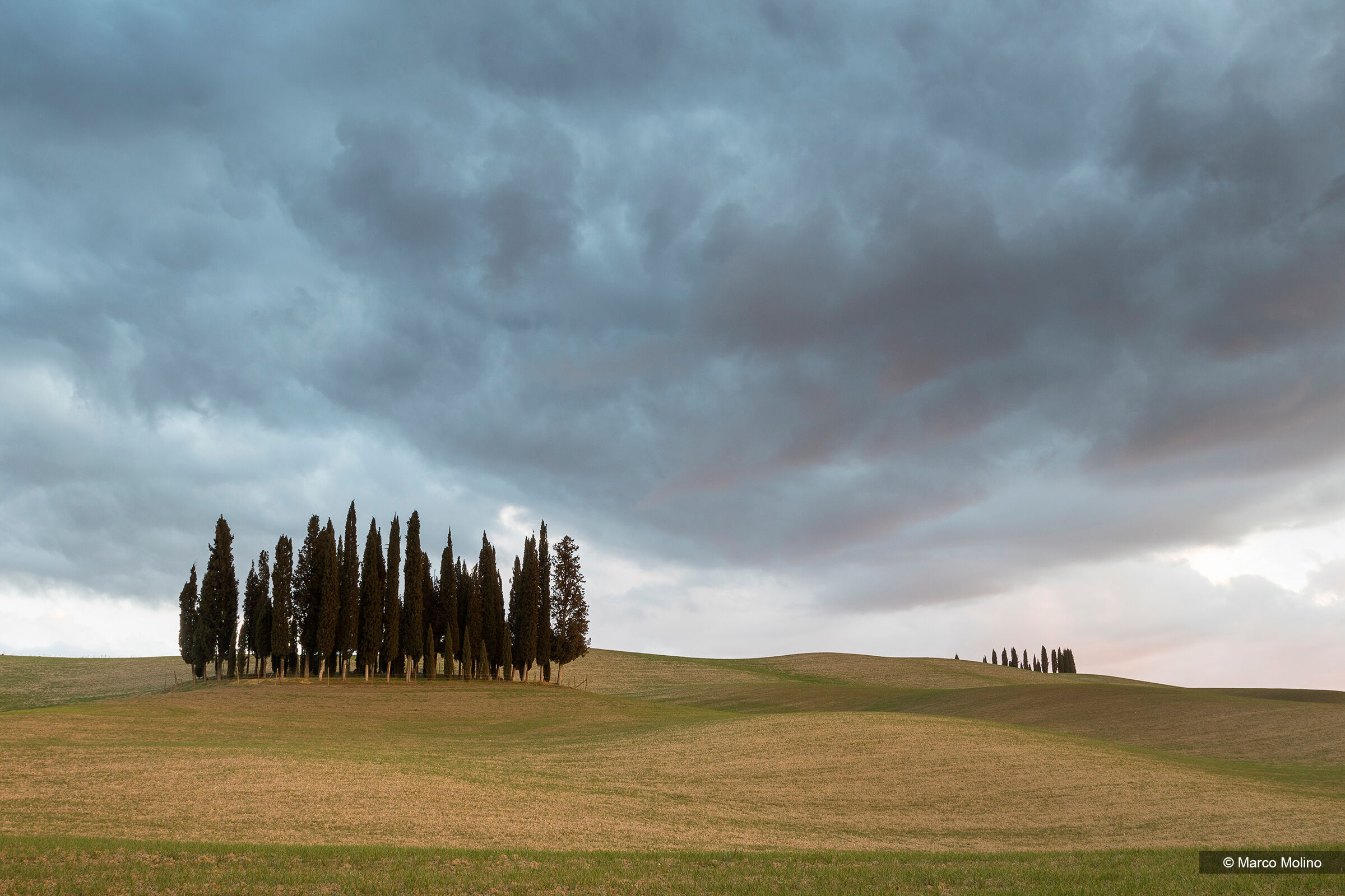 San Quirico d'Orcia - I Cipressini