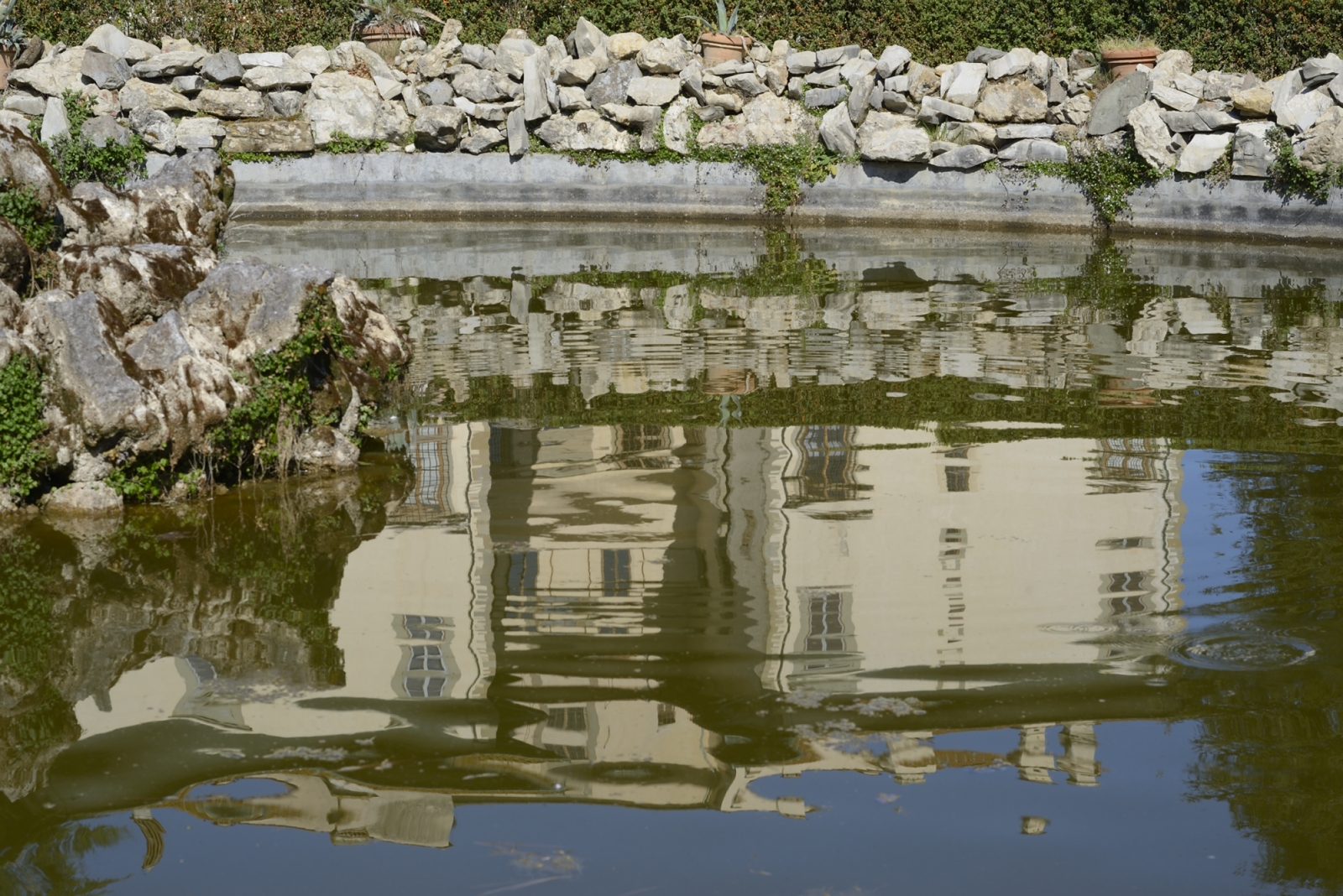 Reflections captured with the reflex