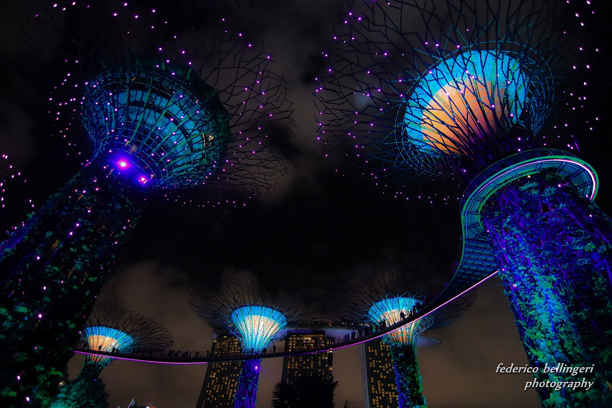 Gardens by the bay