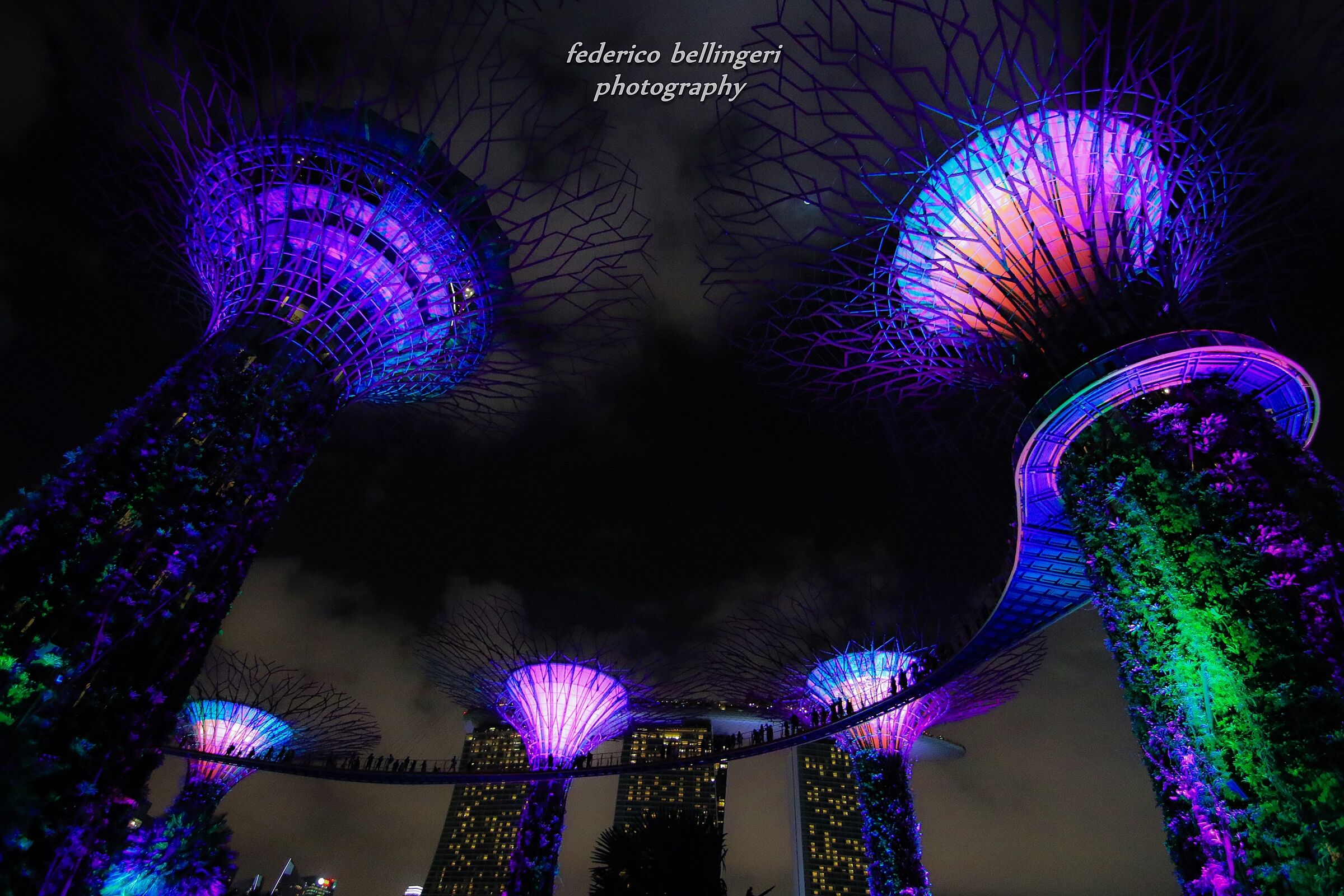 Gardens by the bay
