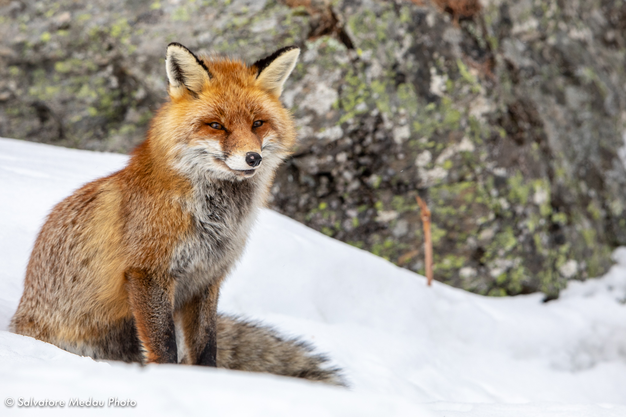 Meetings in the Grand Paradise National Park