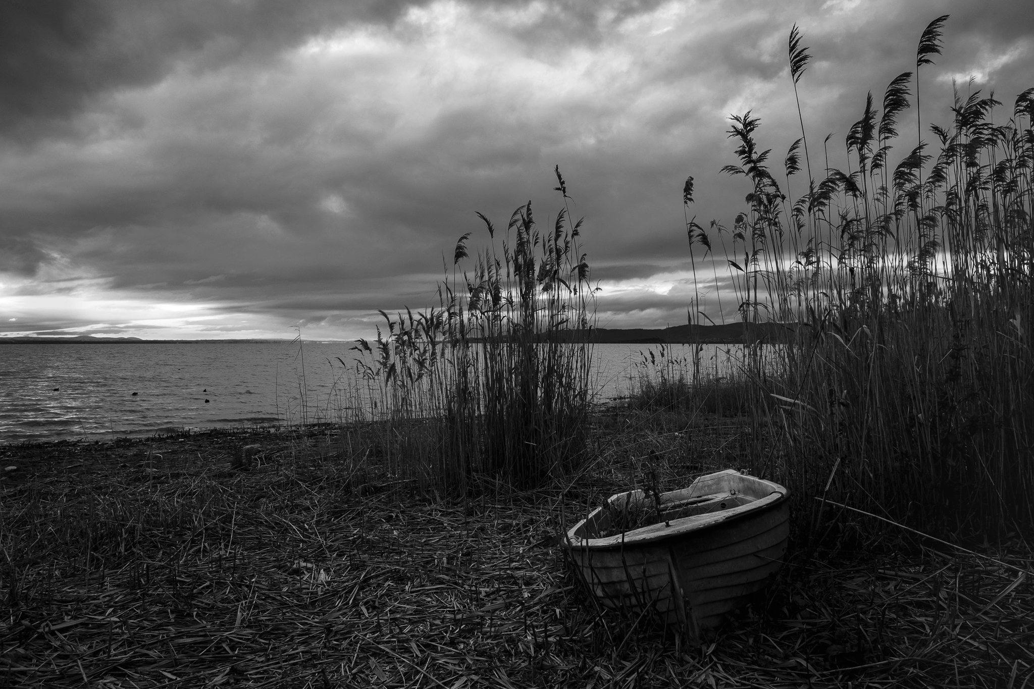 Thunderstorm on the Lake Trasimeno