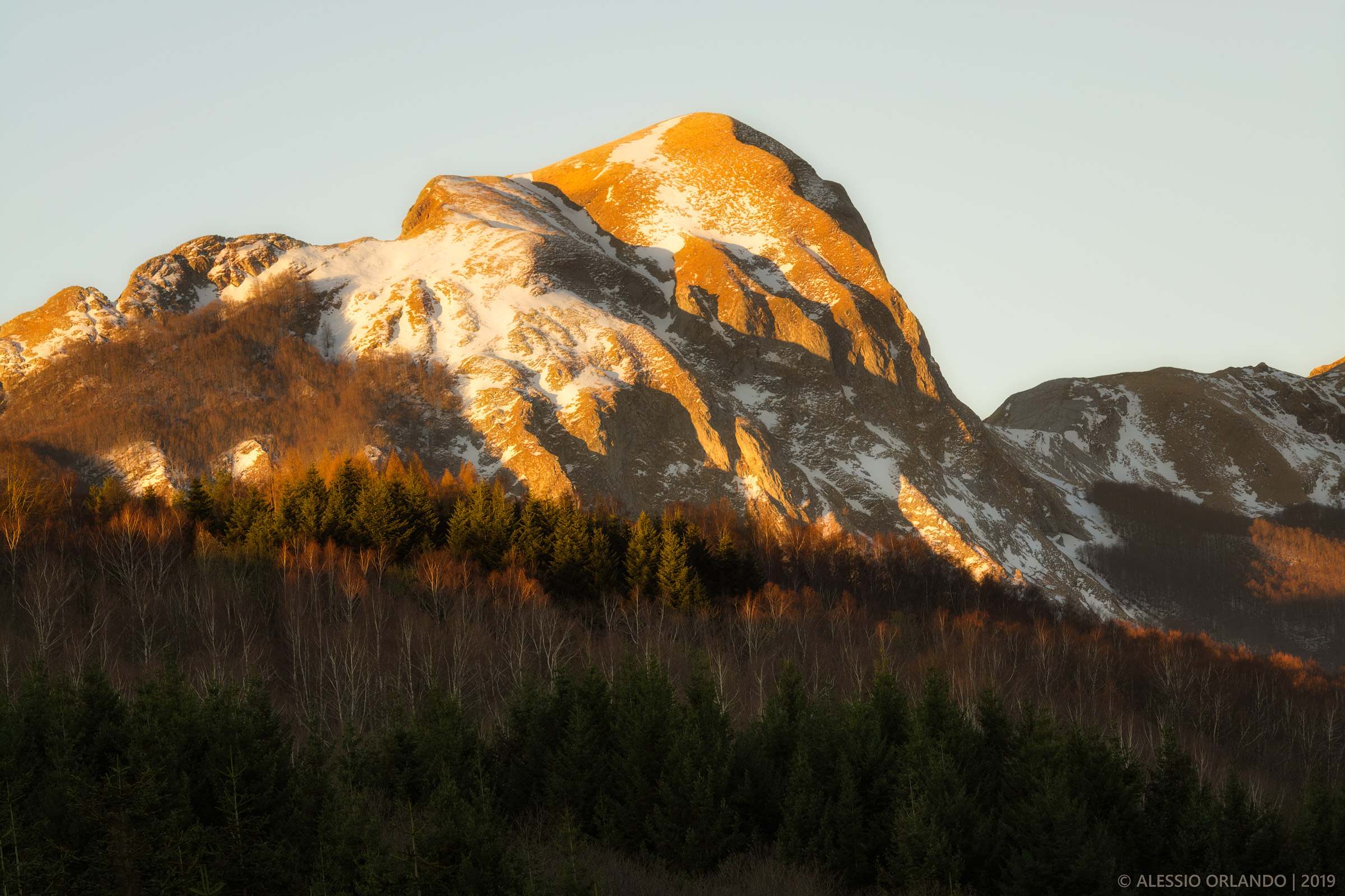 Accarezzate dal Sole