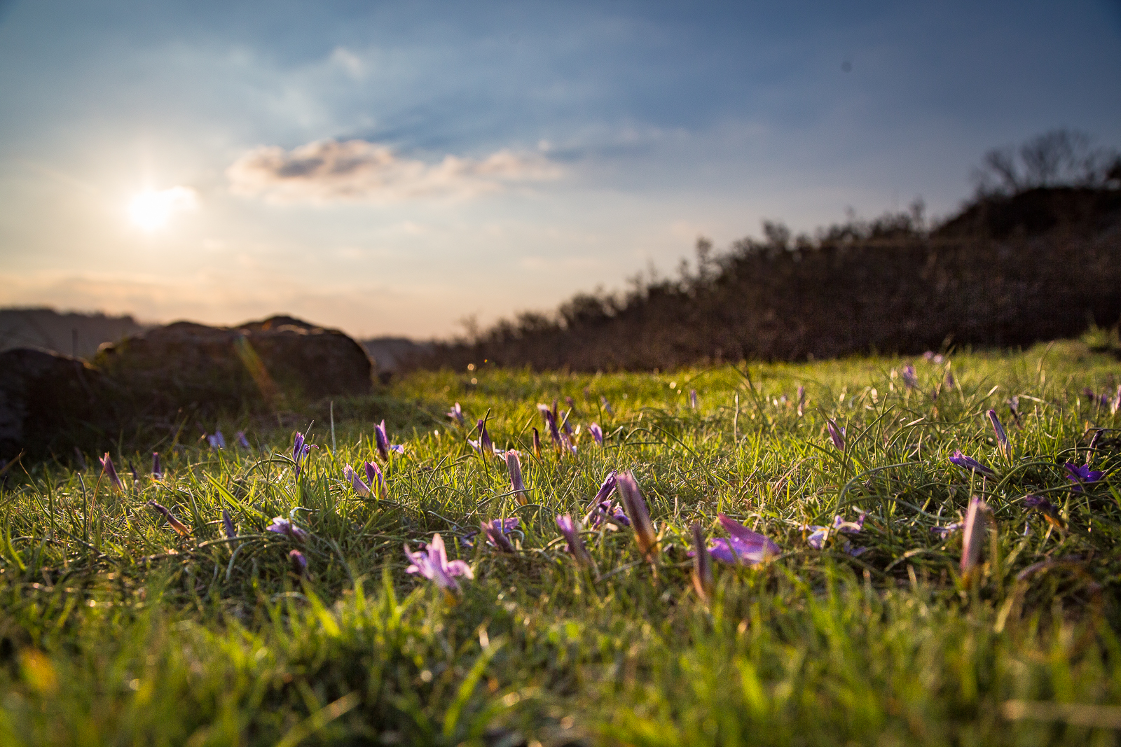 Tramonto sull'altopiano dell'Argimusco